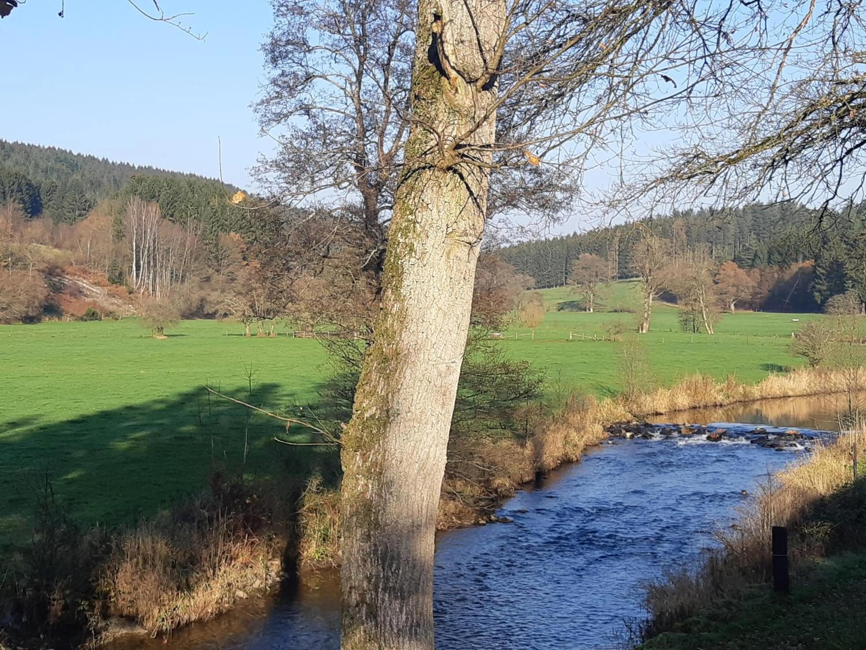 Natural landscape in B&B Caprice d'Epices