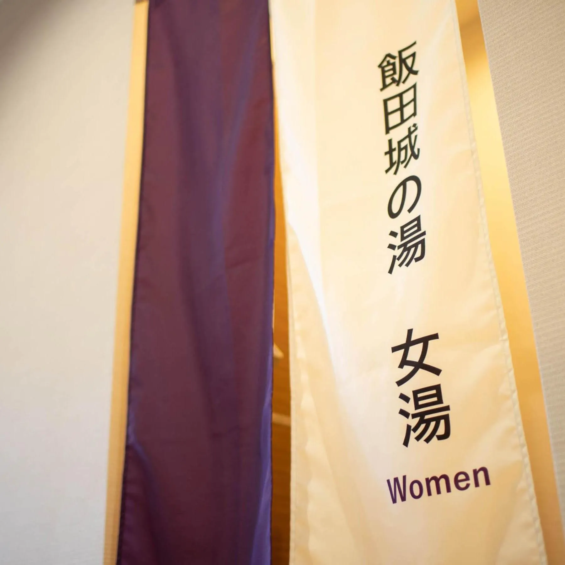 Hot Spring Bath in Super Hotel Nagano Iida Inter