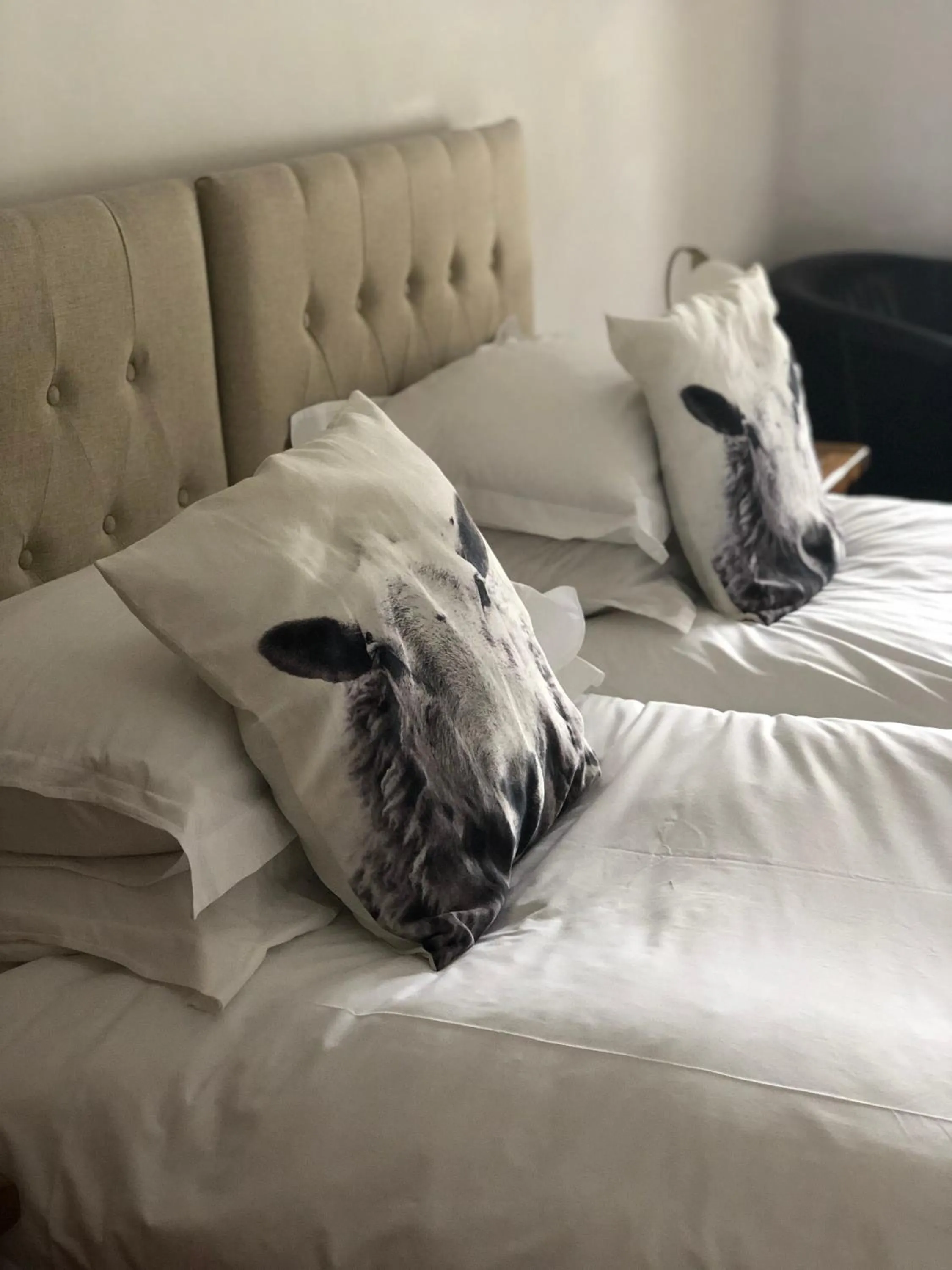 Bed in Holmeshead Farm