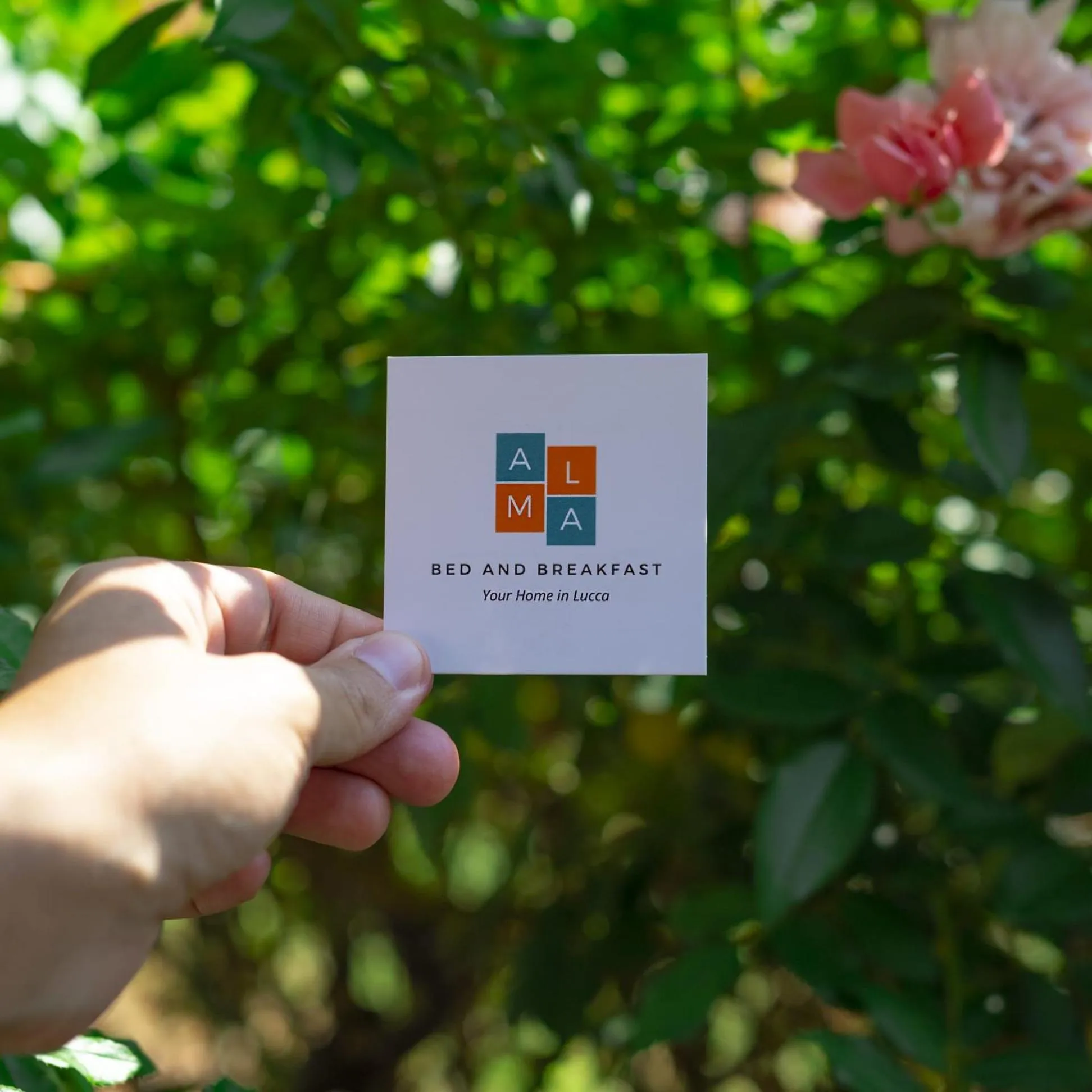 Property logo or sign in B&B Alma