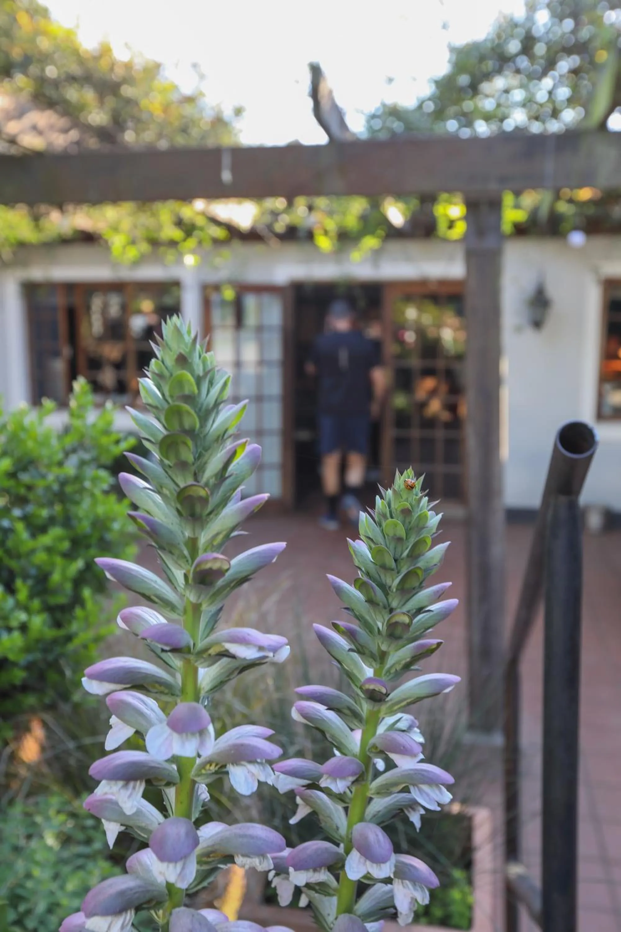 Day in The Nottingham Road Hotel