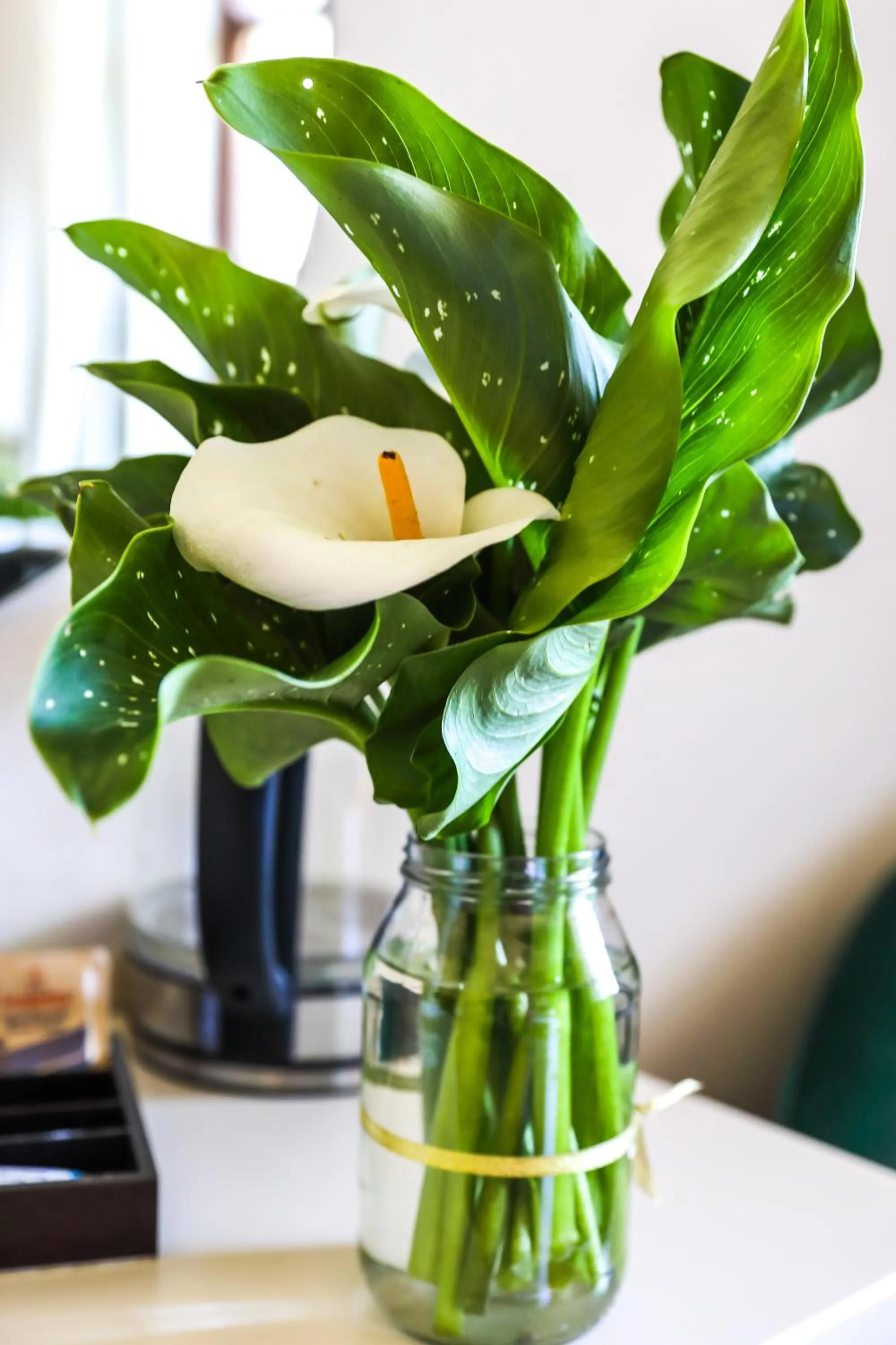 Decorative detail in The Nottingham Road Hotel