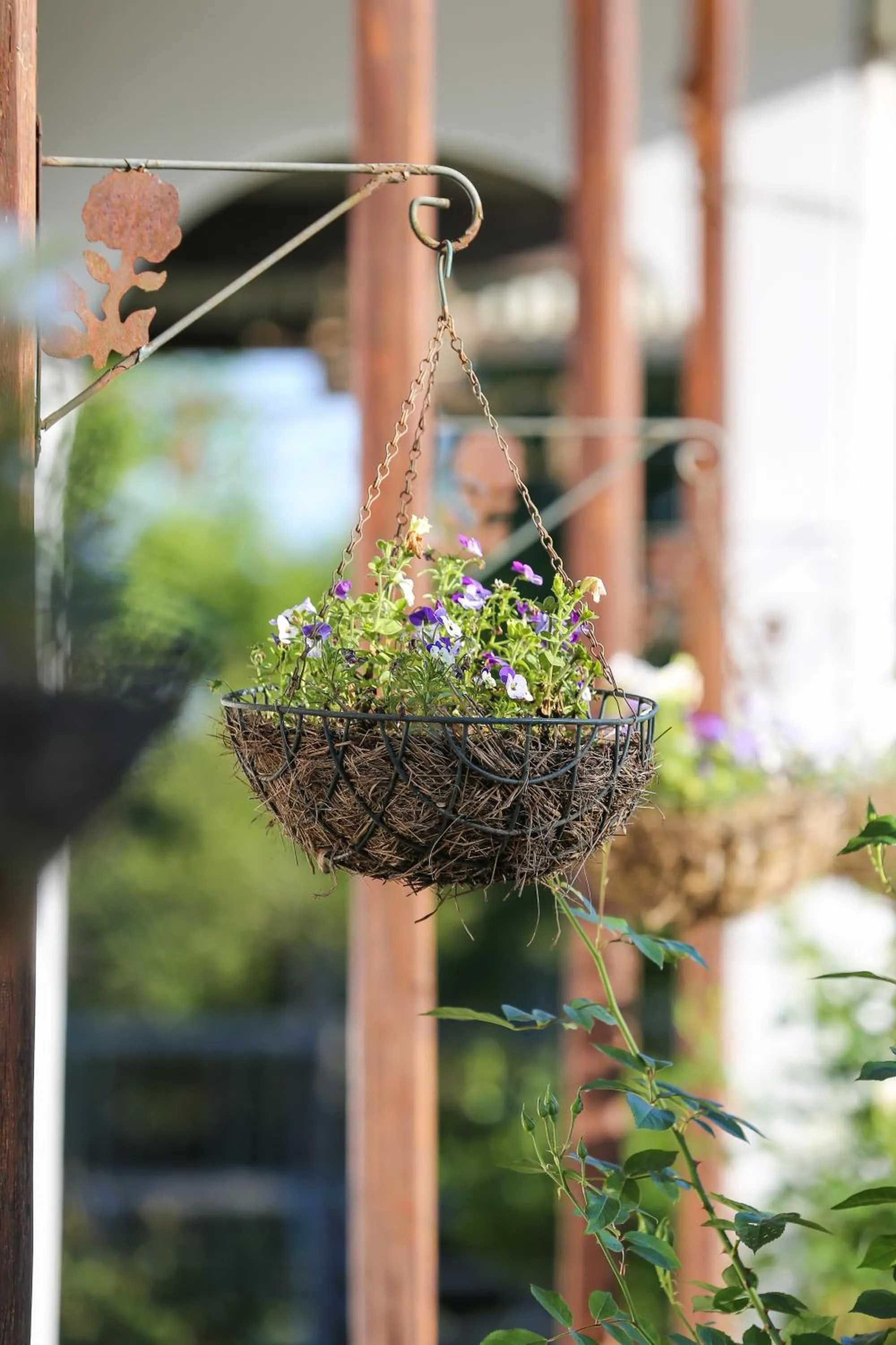 Spring in The Nottingham Road Hotel