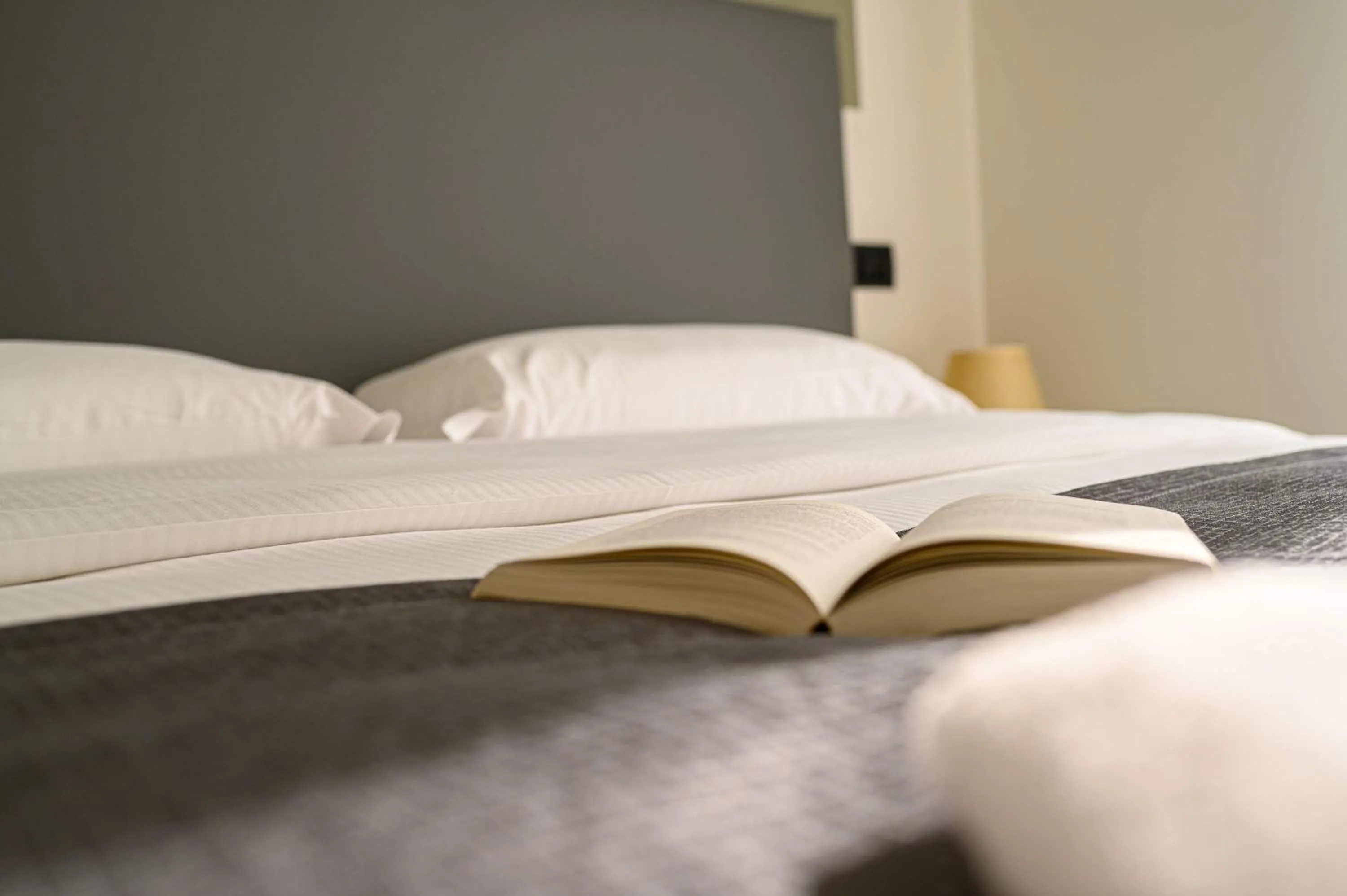 Bed in Hotel & Apartments " Perpoin "