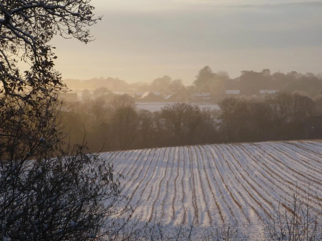 Gorse Farm House B&B