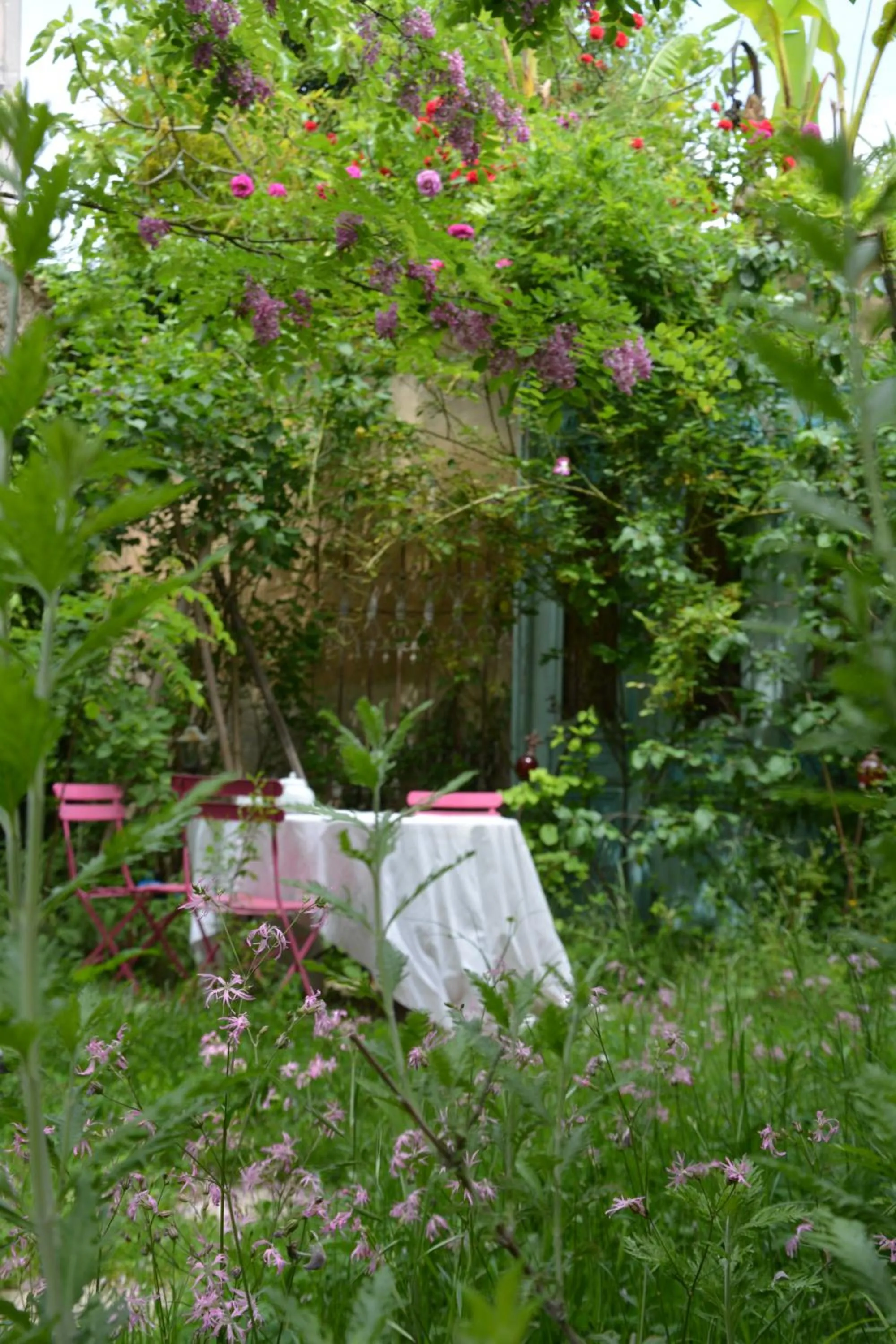 Garden in la maison