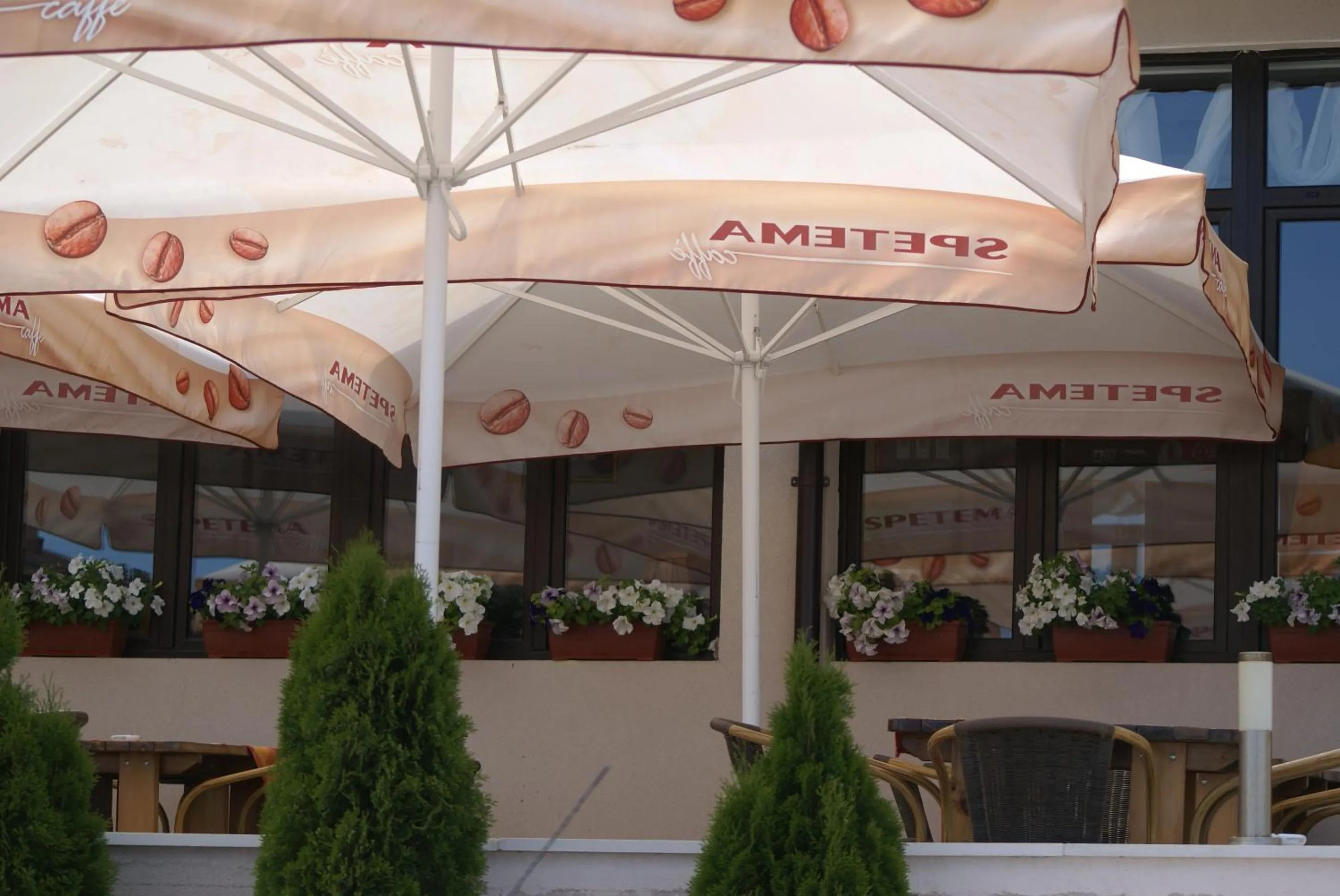 Balcony/Terrace in Family Hotel Piter