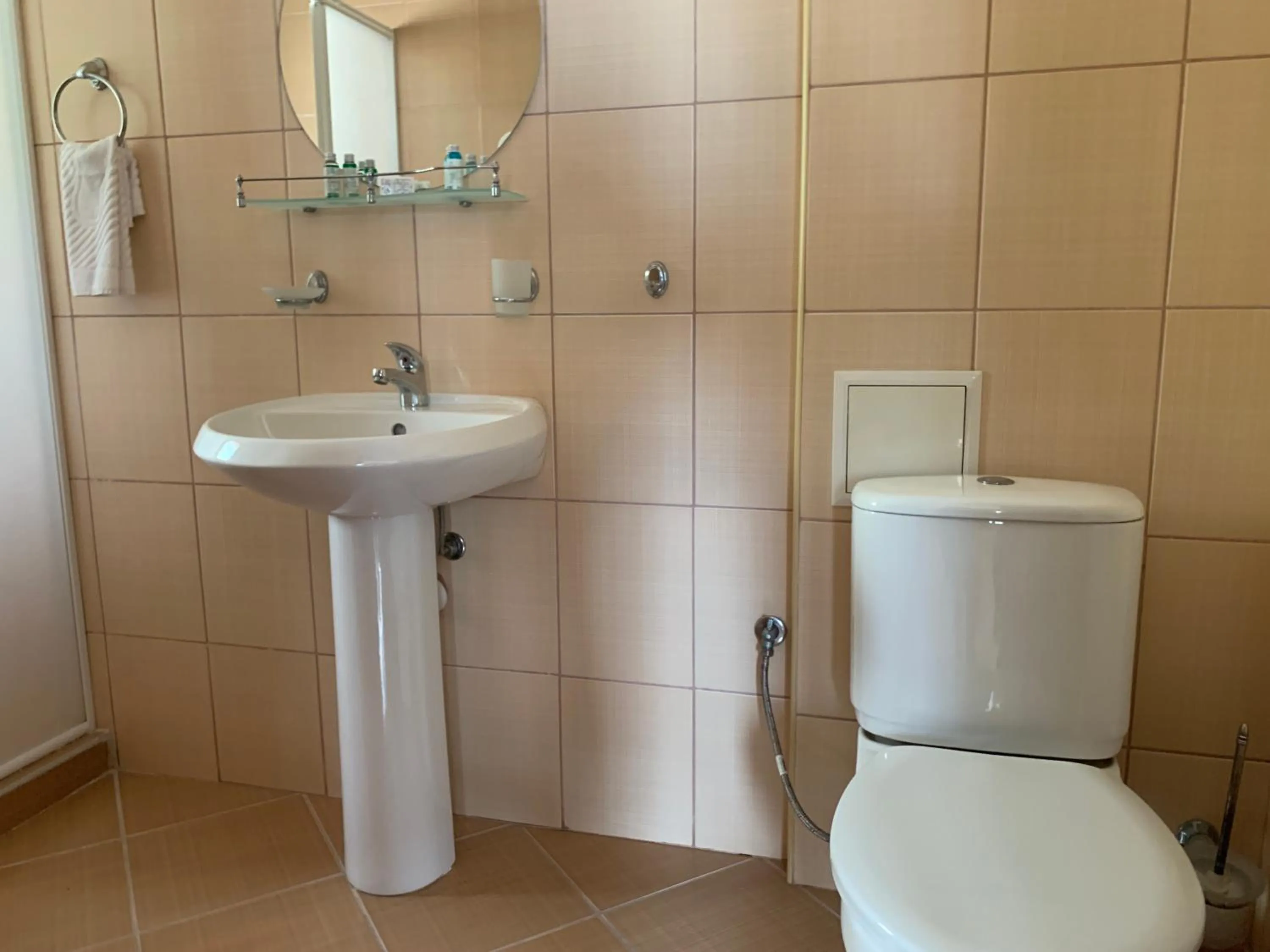 Toilet in Family Hotel Piter