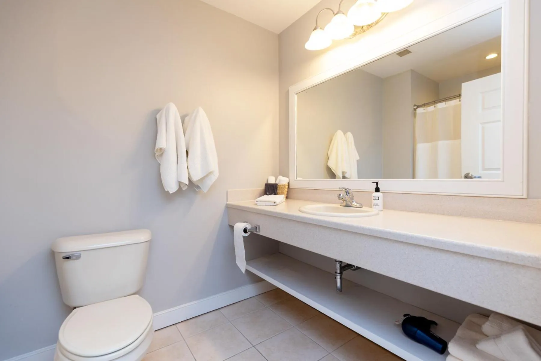 Toilet in Selinsgrove Inn