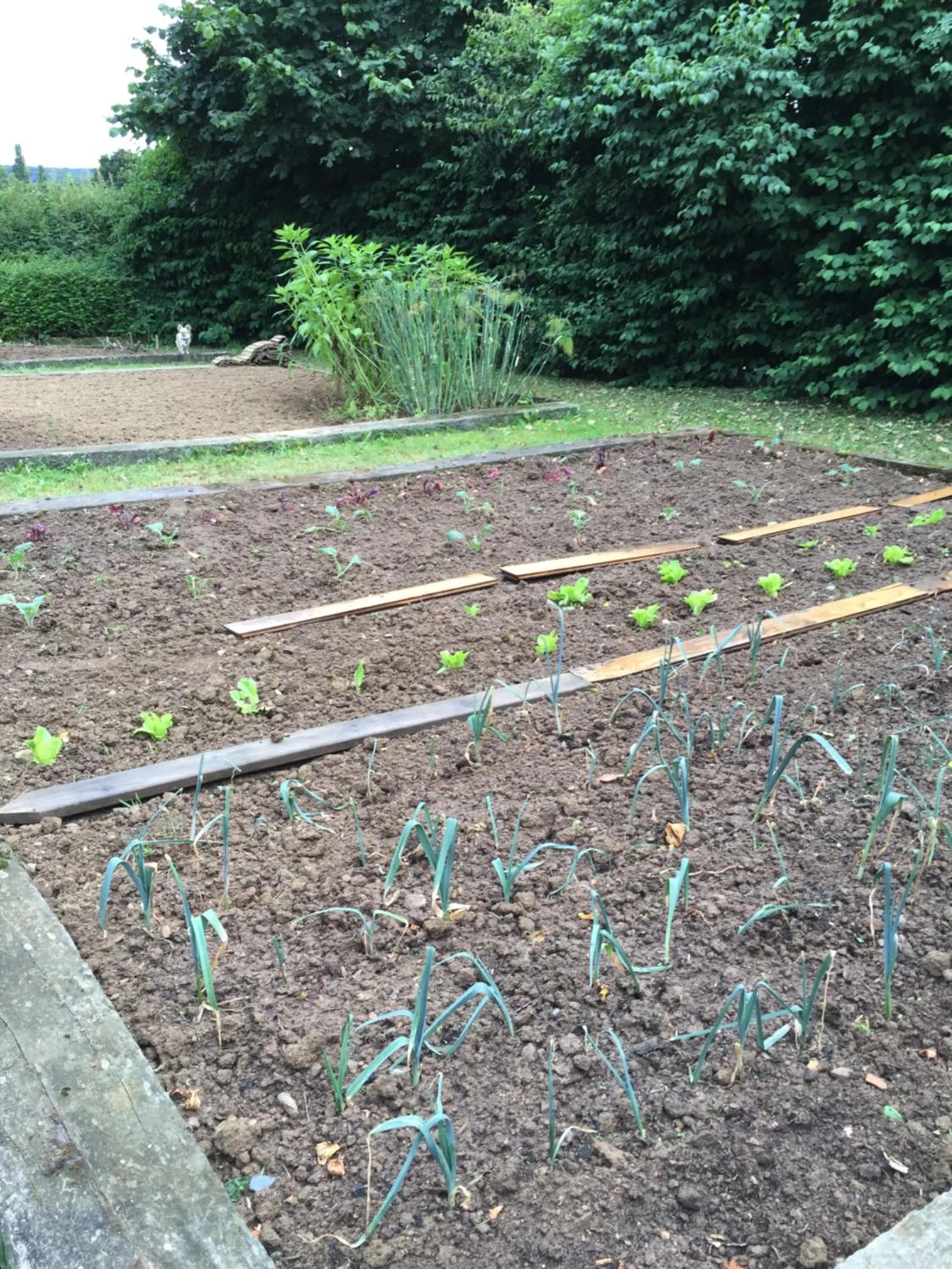 Chambres d'Hôtes Au Clos du Lit