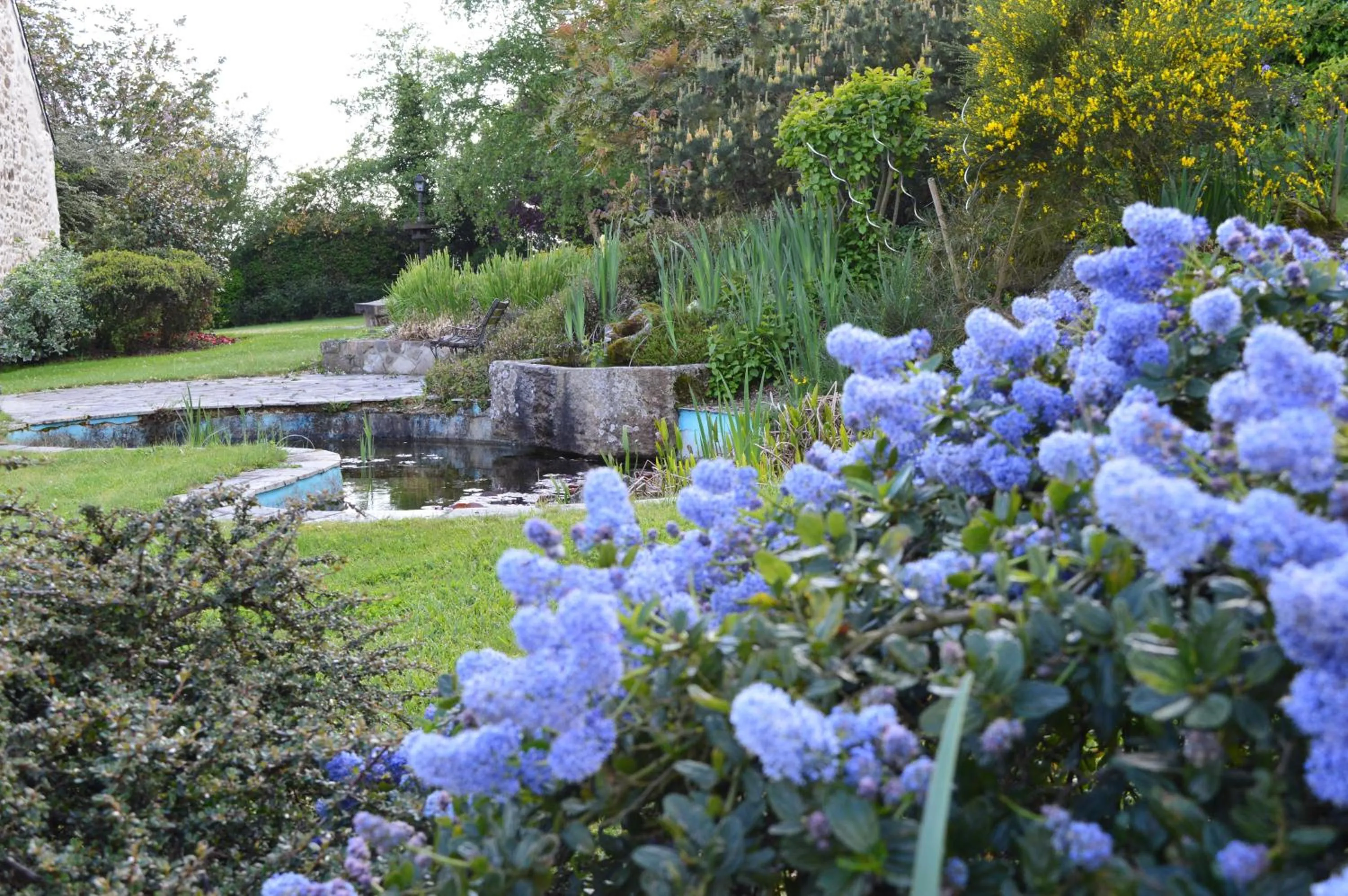 Garden view in Chambres d'Hôtes Au Clos du Lit