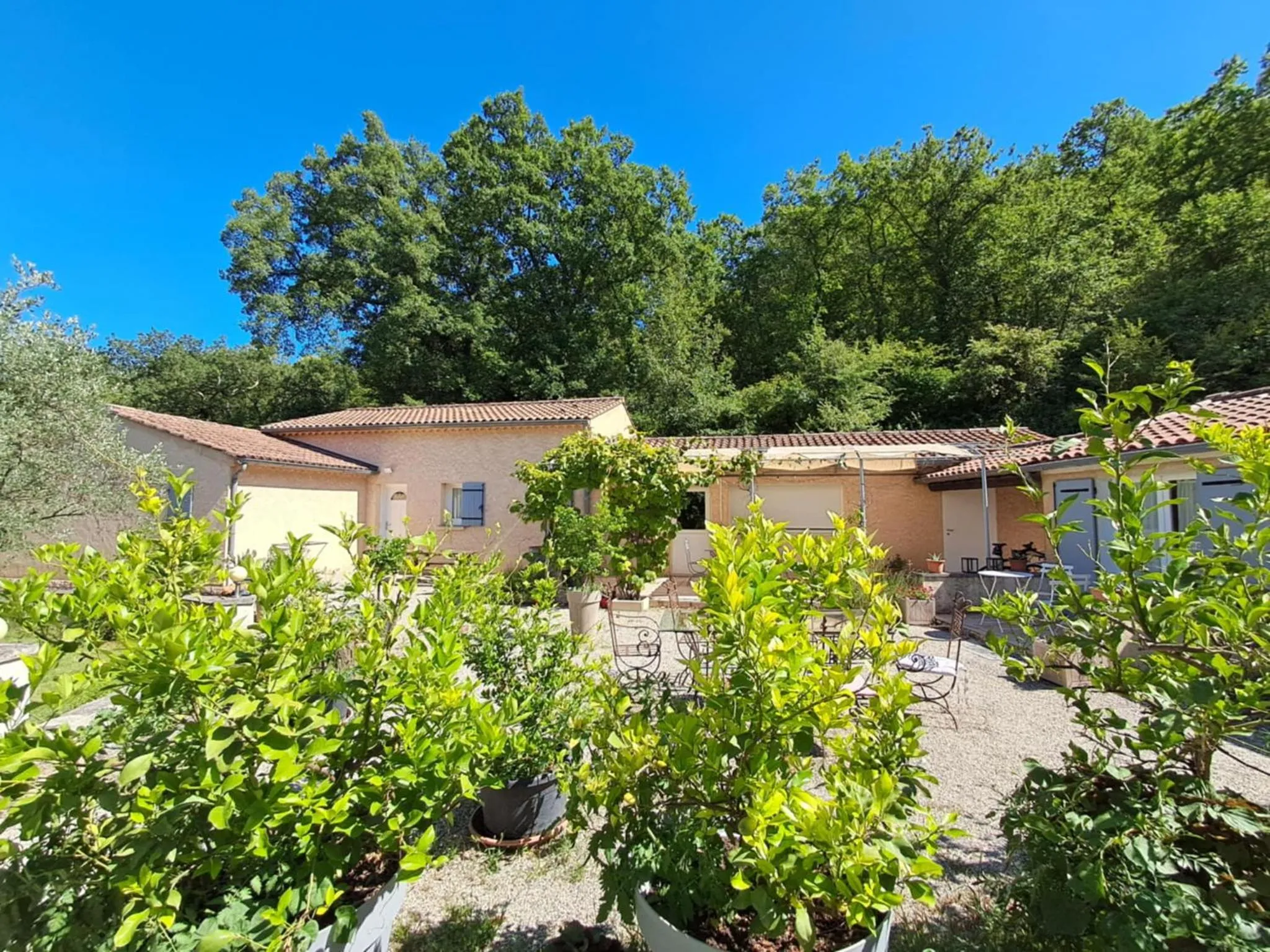 Les Verveines de Vaison