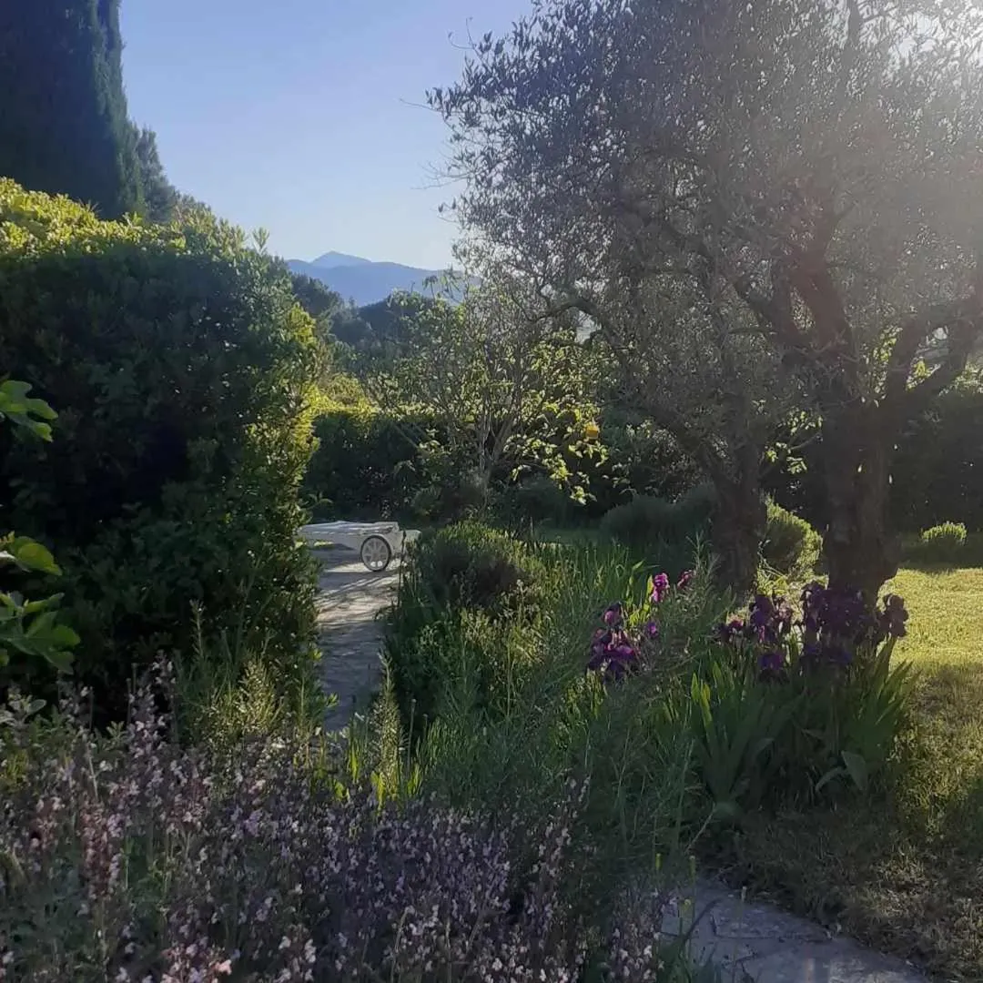 Les Verveines de Vaison