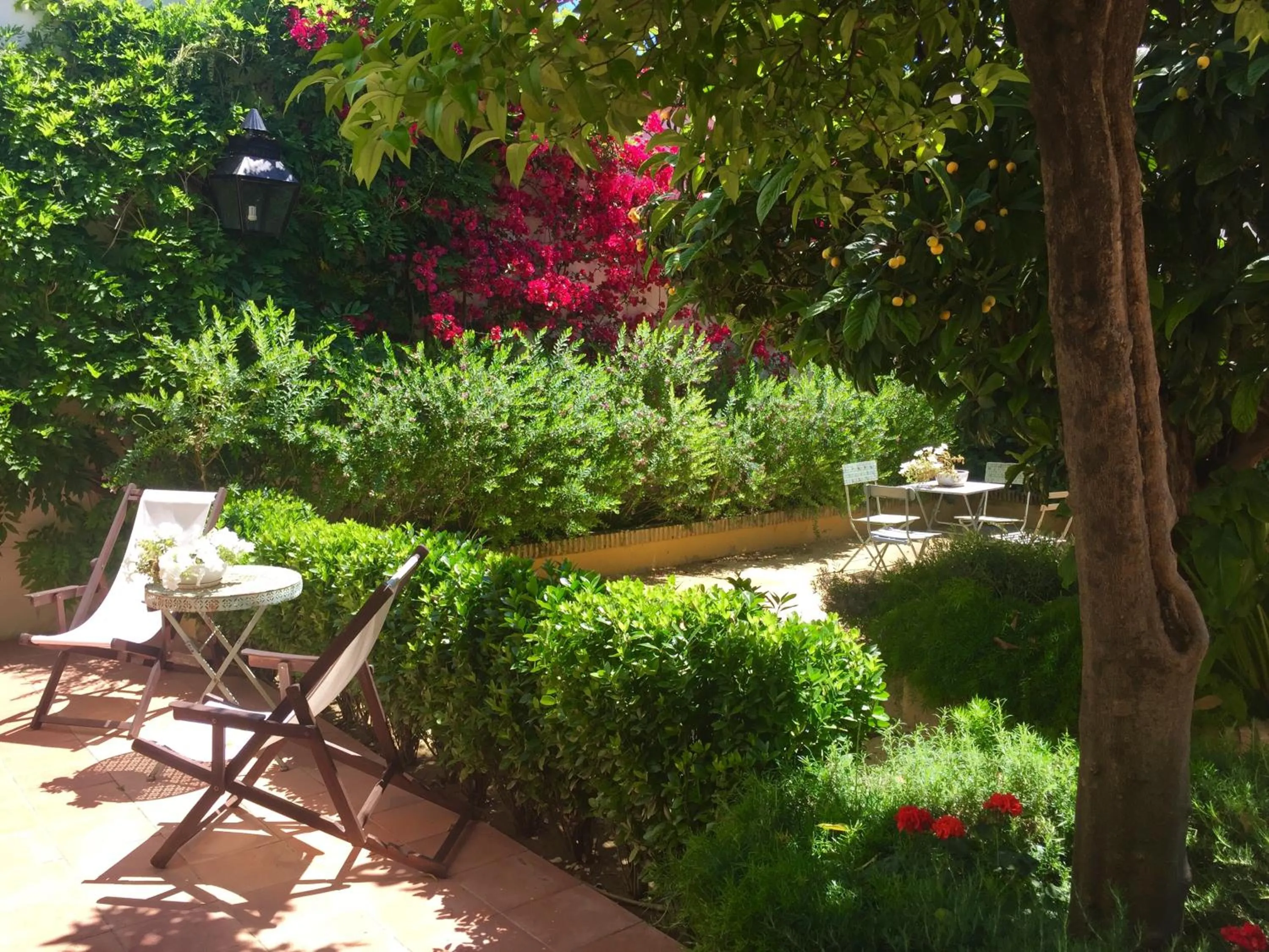 Garden in Apartamentos Los Patios de la Judería