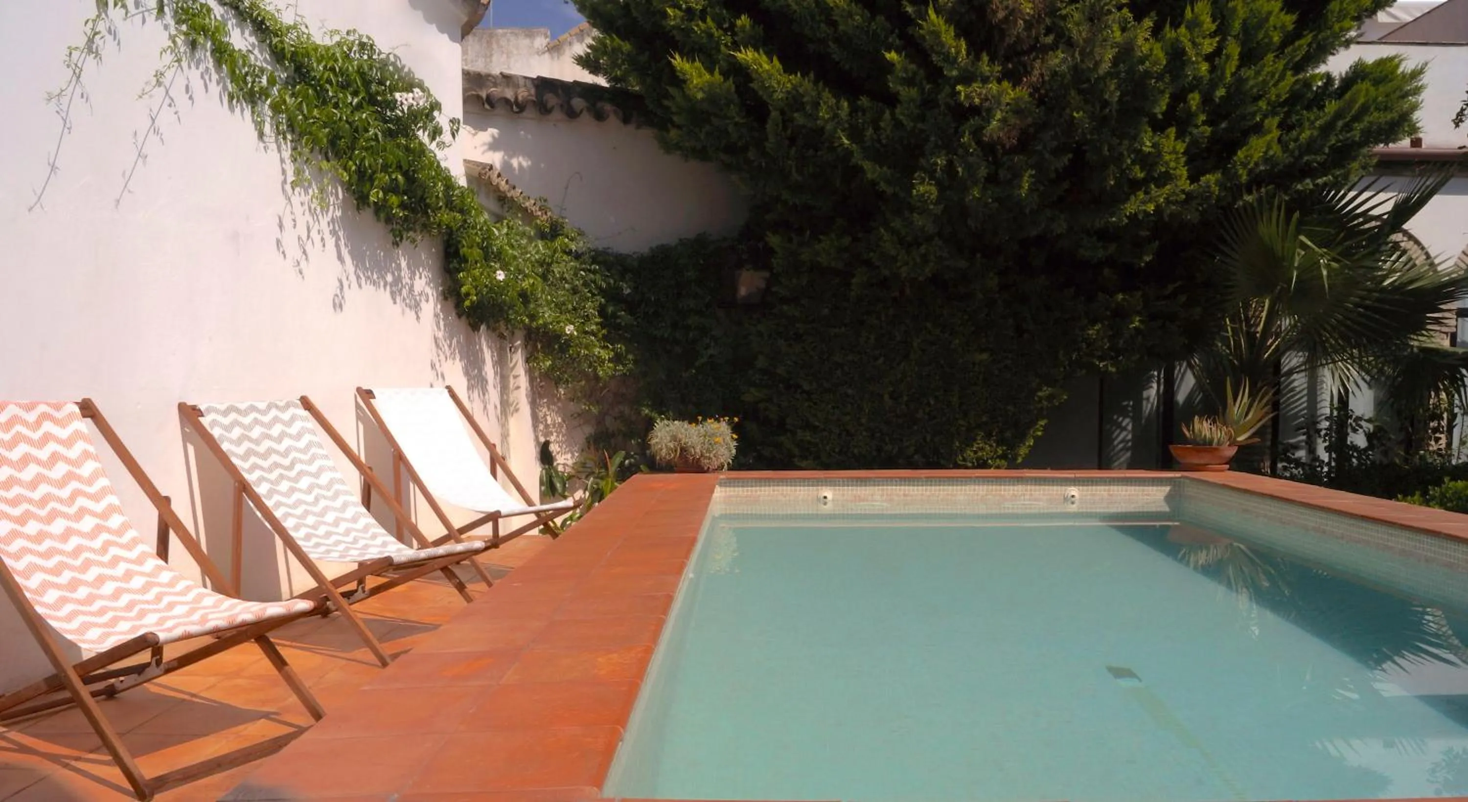 Swimming pool in Apartamentos Los Patios de la Judería
