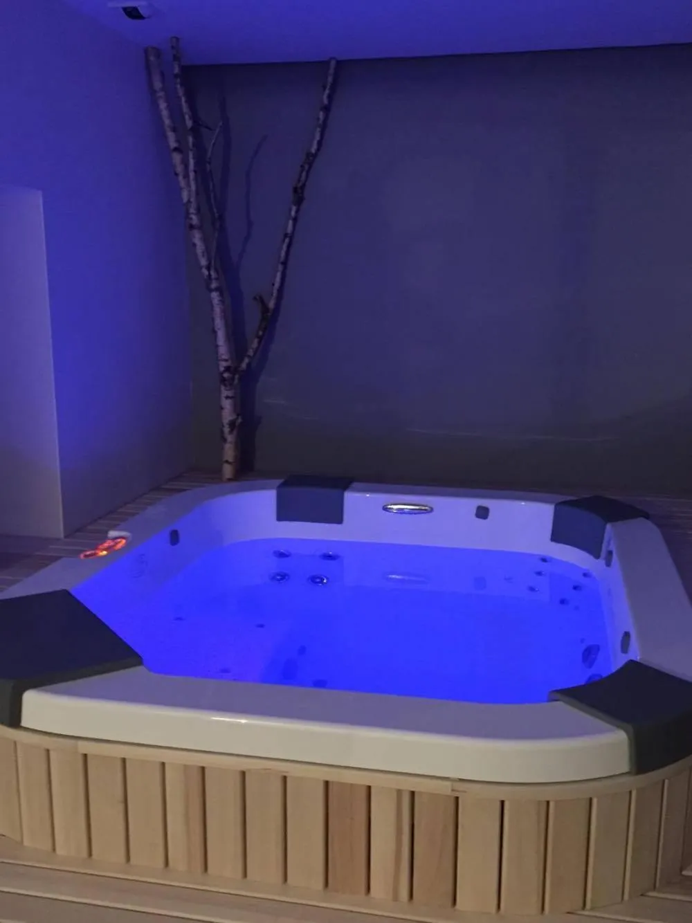Hot Tub in Hôtel du Bout du Monde