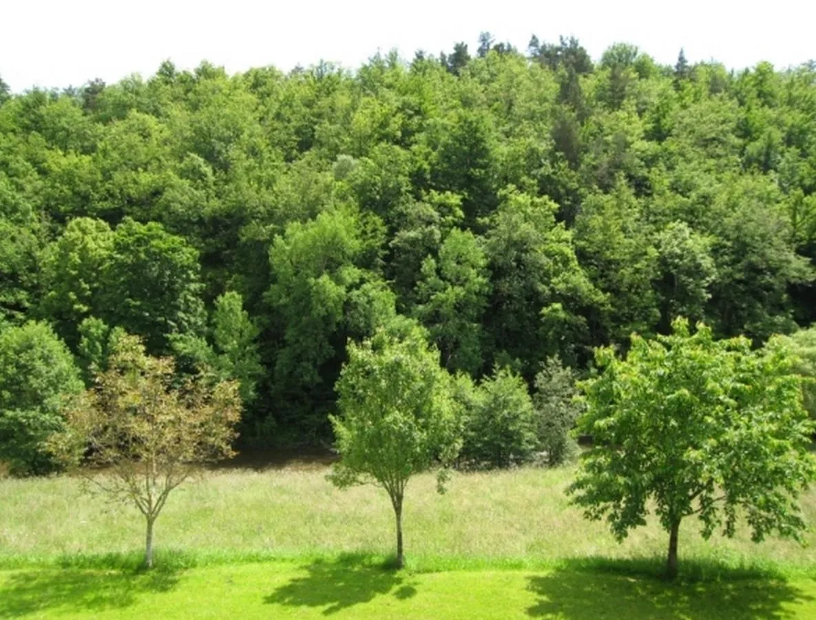 Day in Hôtel du Bout du Monde