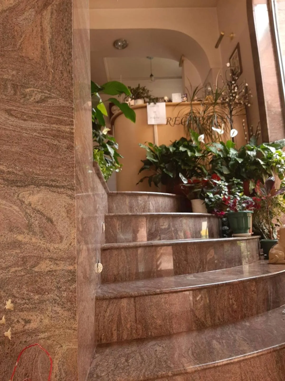 Pop Bogomil family hotel