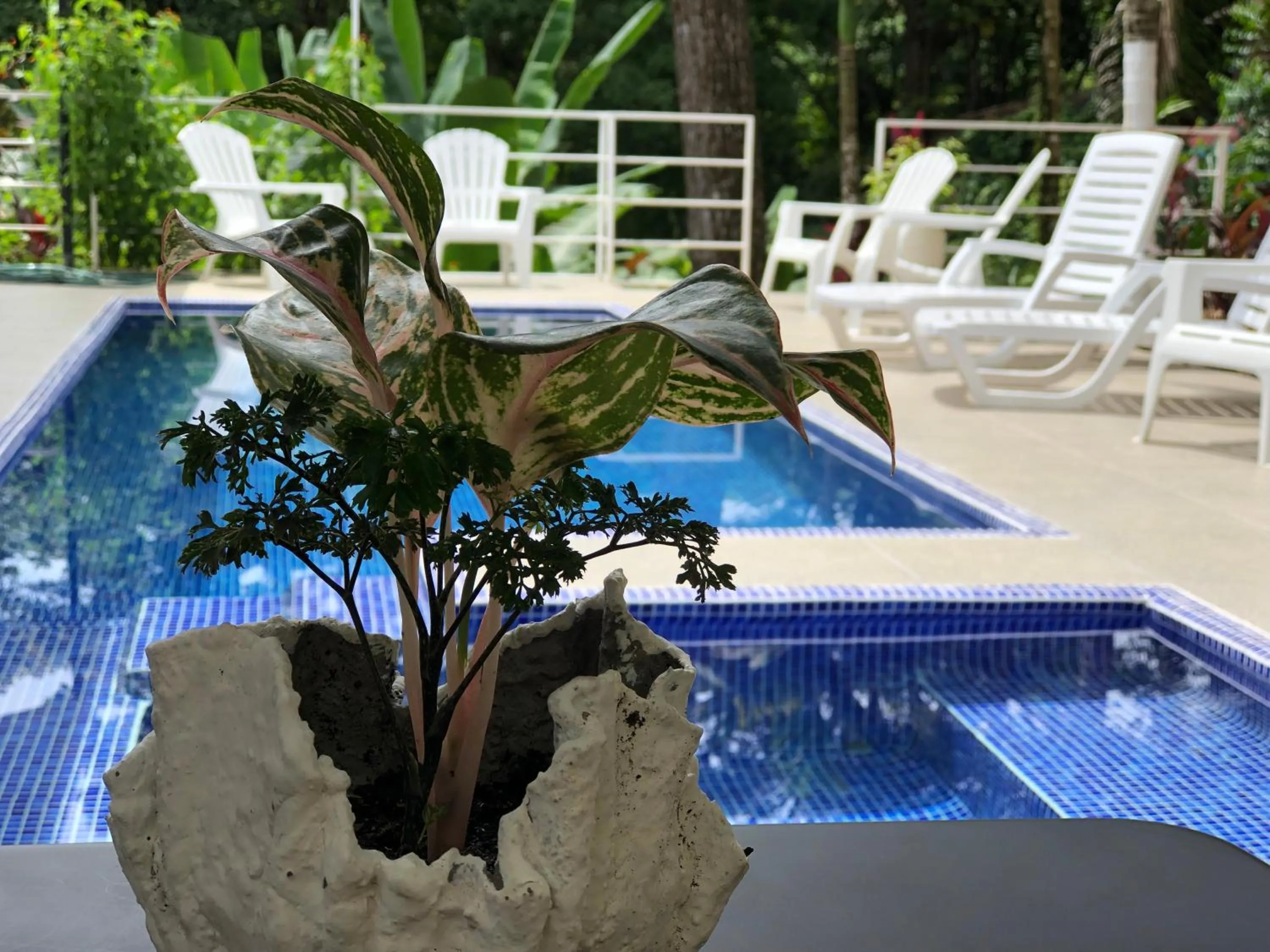 Ballena Dorada Lodge