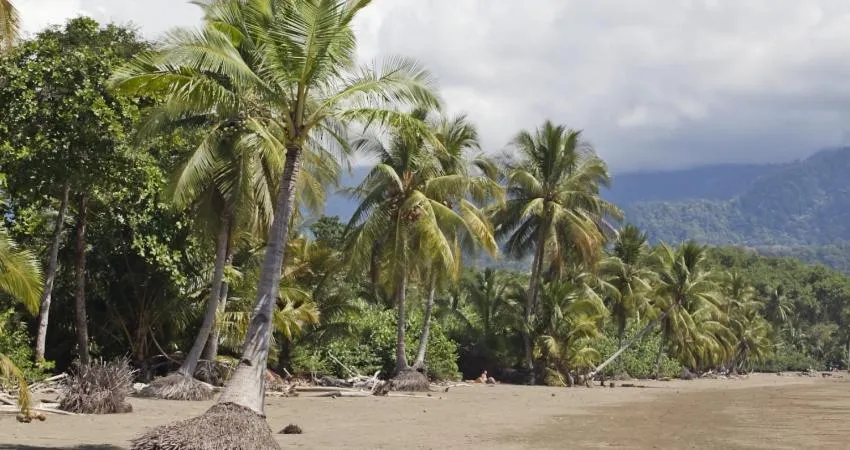 Ballena Dorada Lodge
