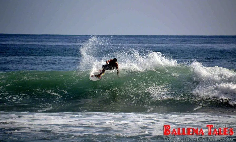 Windsurfing in Ballena Dorada Lodge