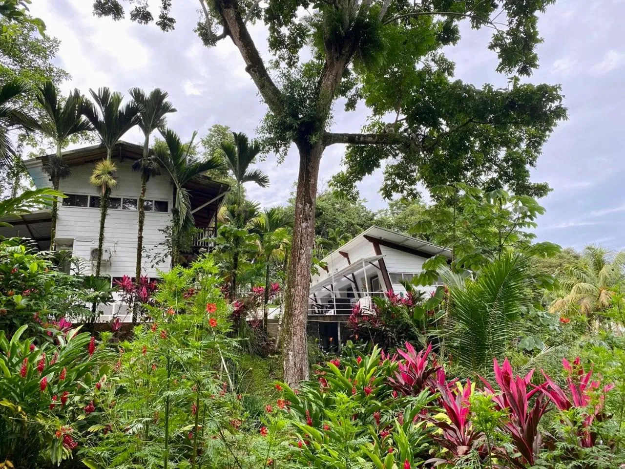 Ballena Dorada Lodge