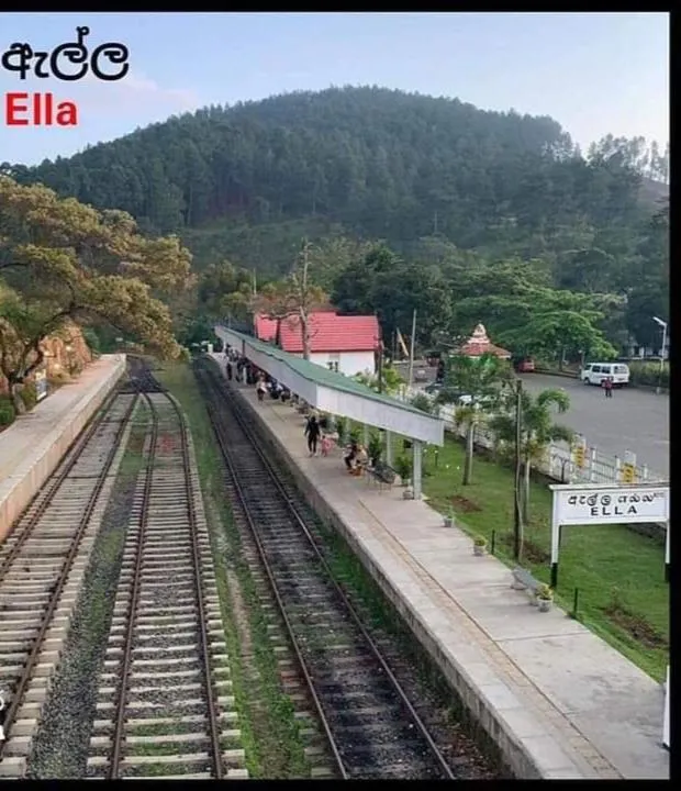 Ella Lucky Panoramic