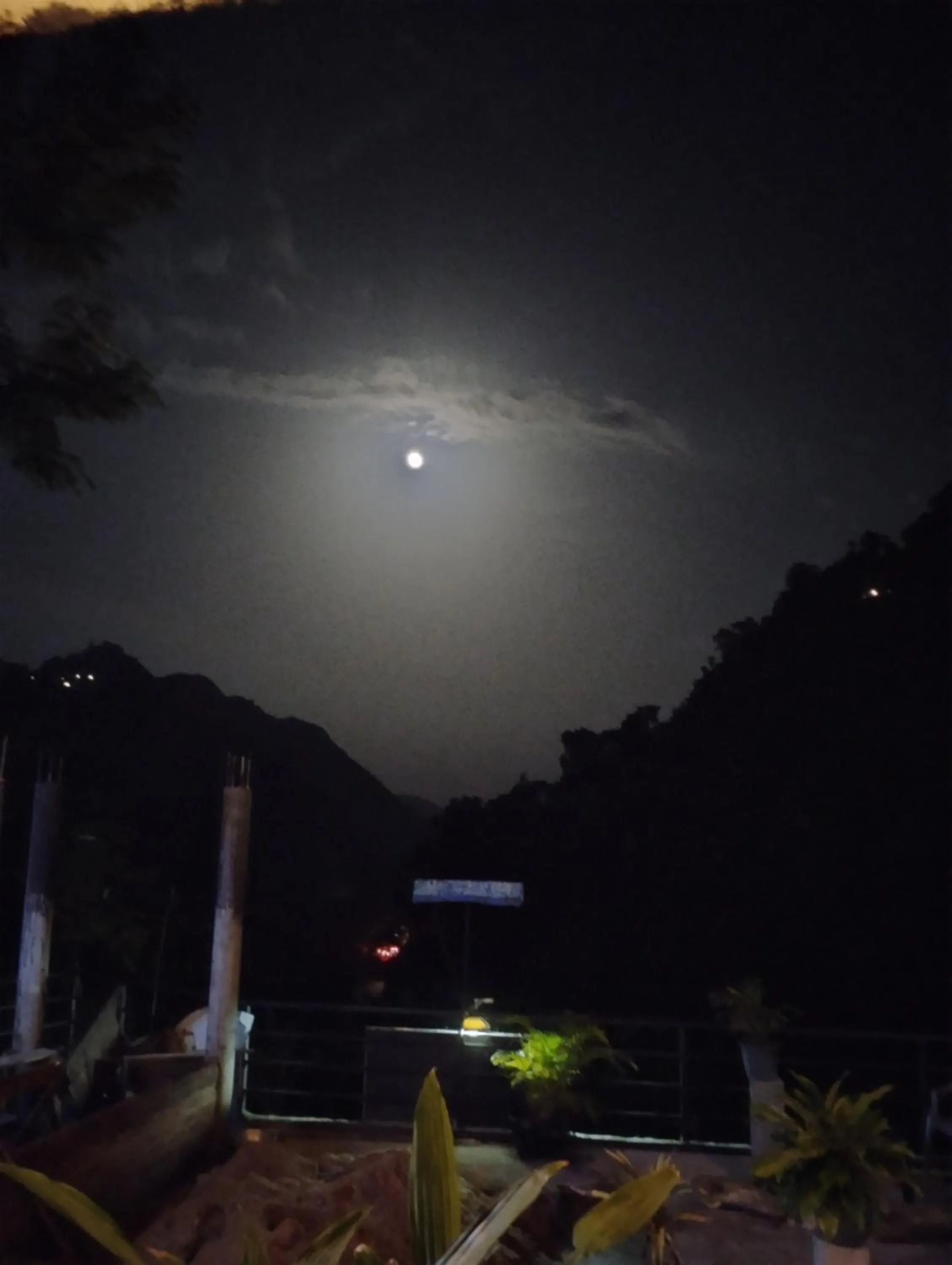 Ella Lucky Panoramic