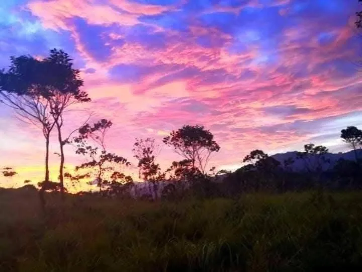 Ella Lucky Panoramic