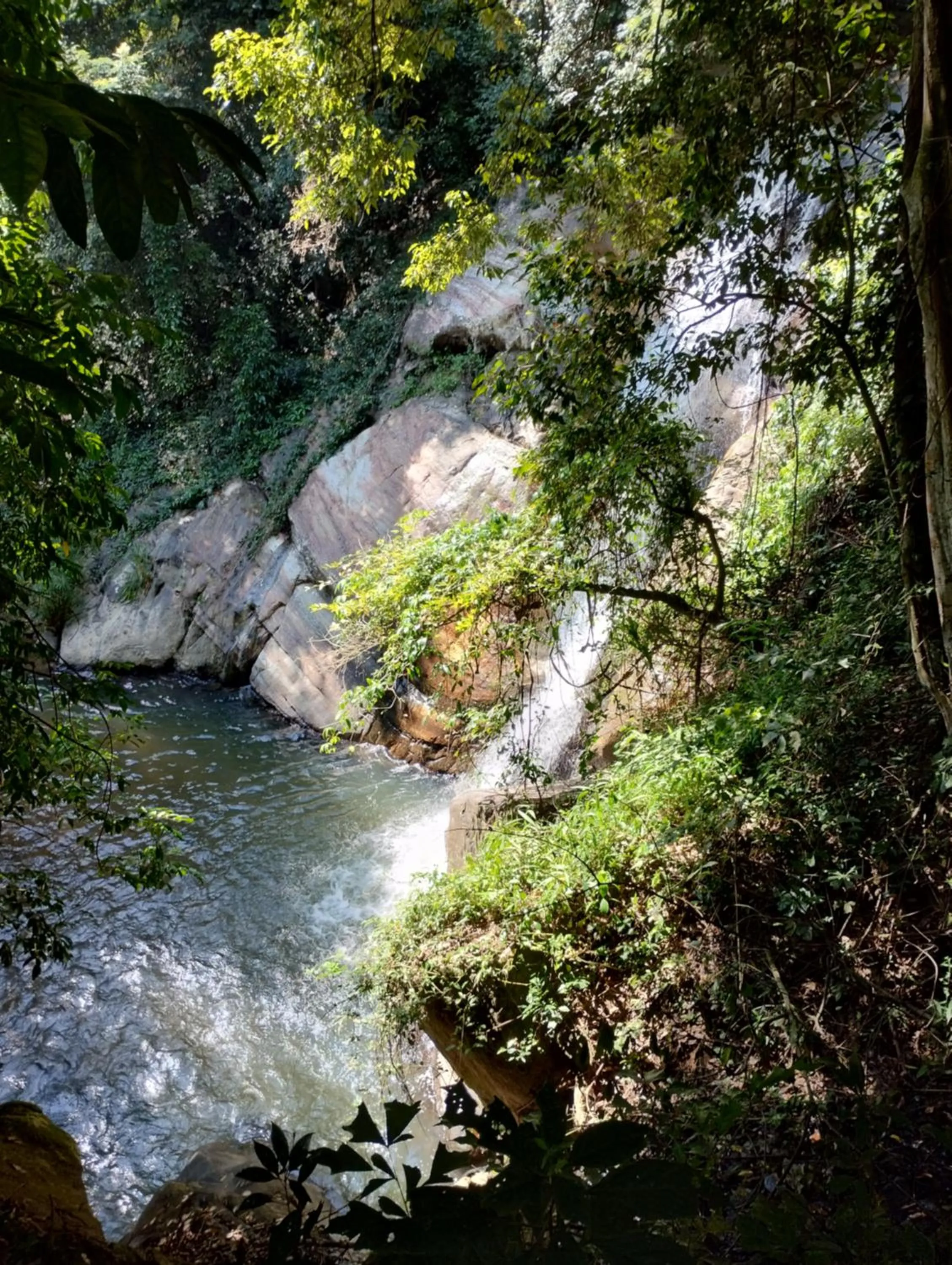 Ella Lucky Panoramic