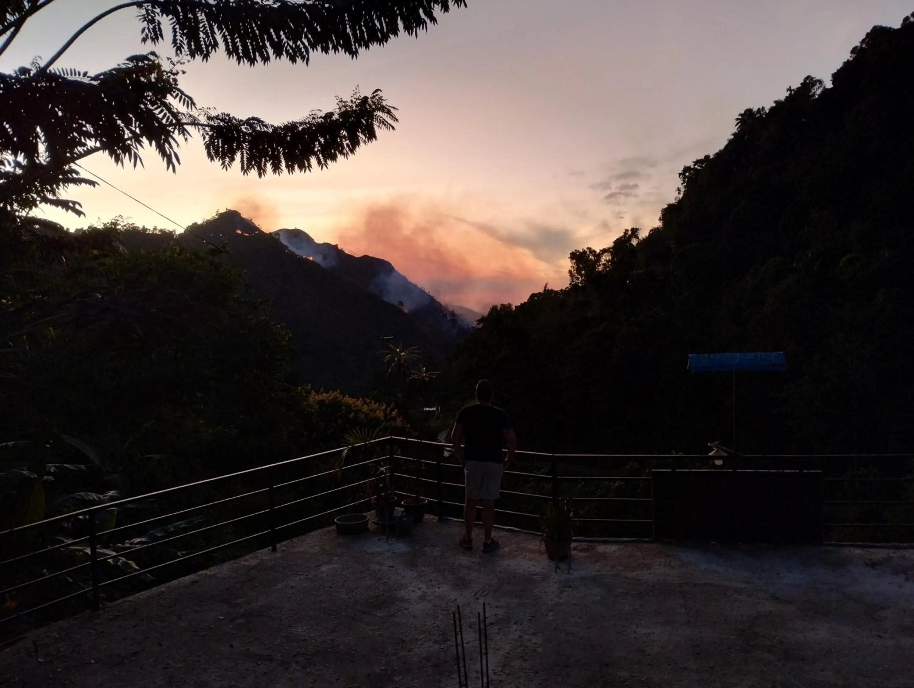 Ella Lucky Panoramic