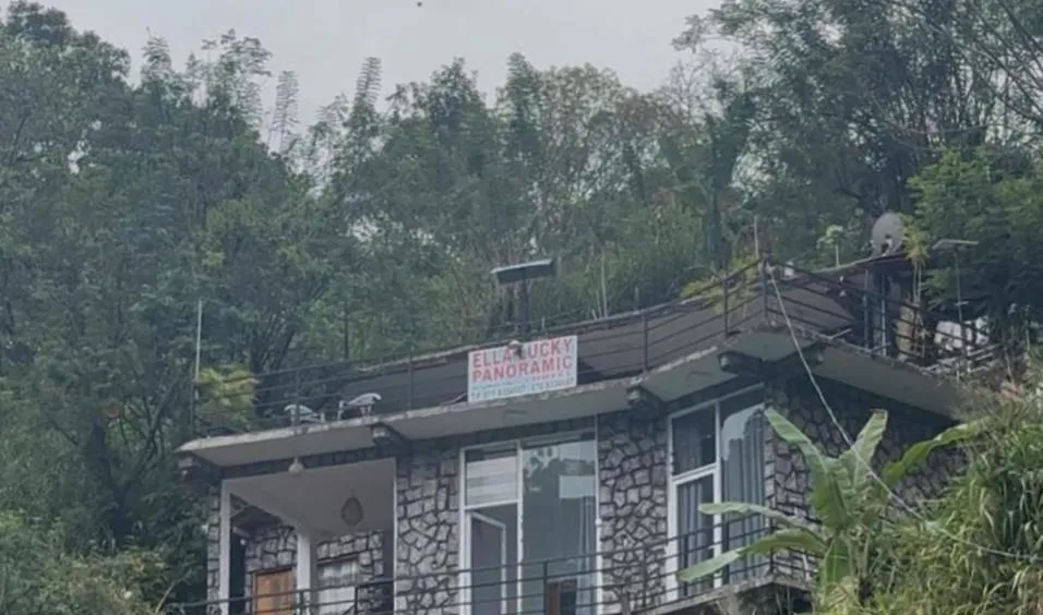 Ella Lucky Panoramic