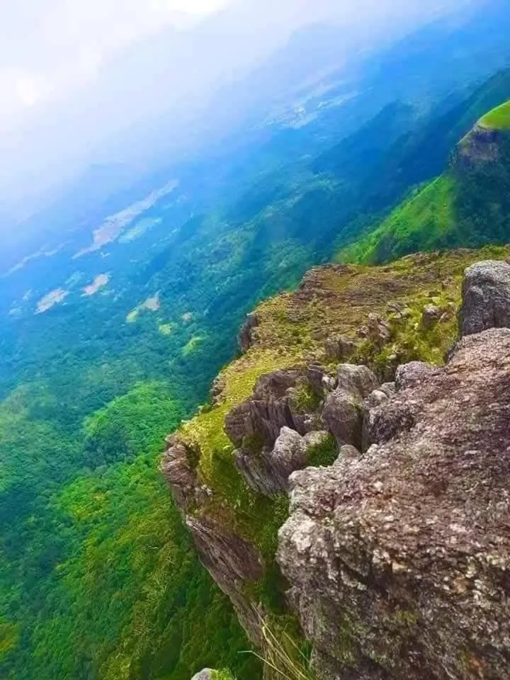 Ella Lucky Panoramic