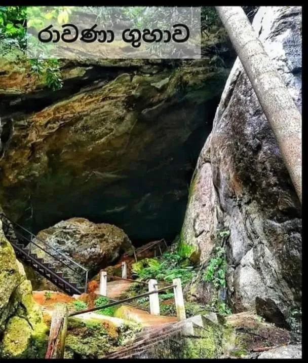 Ella Lucky Panoramic