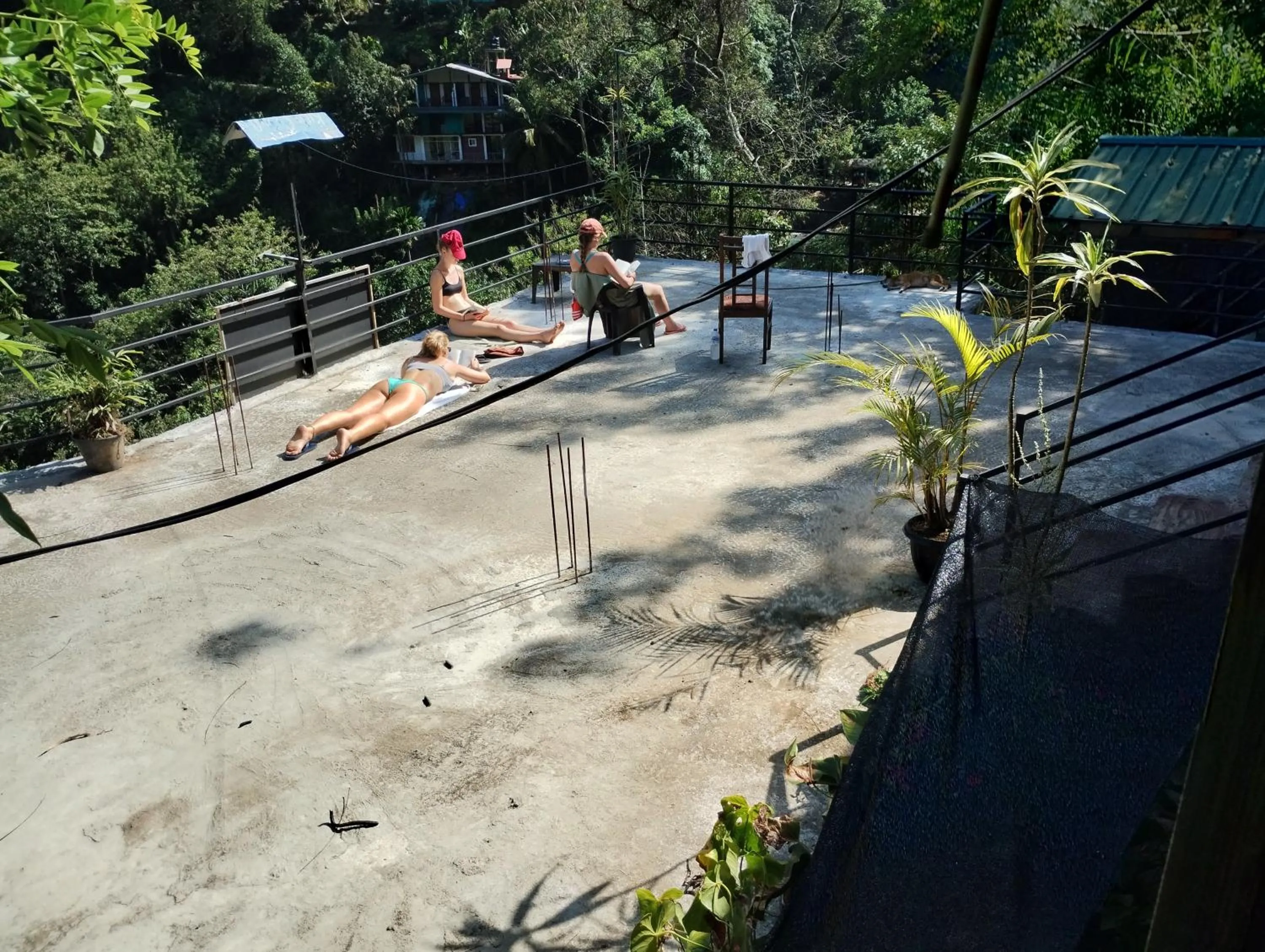 Ella Lucky Panoramic