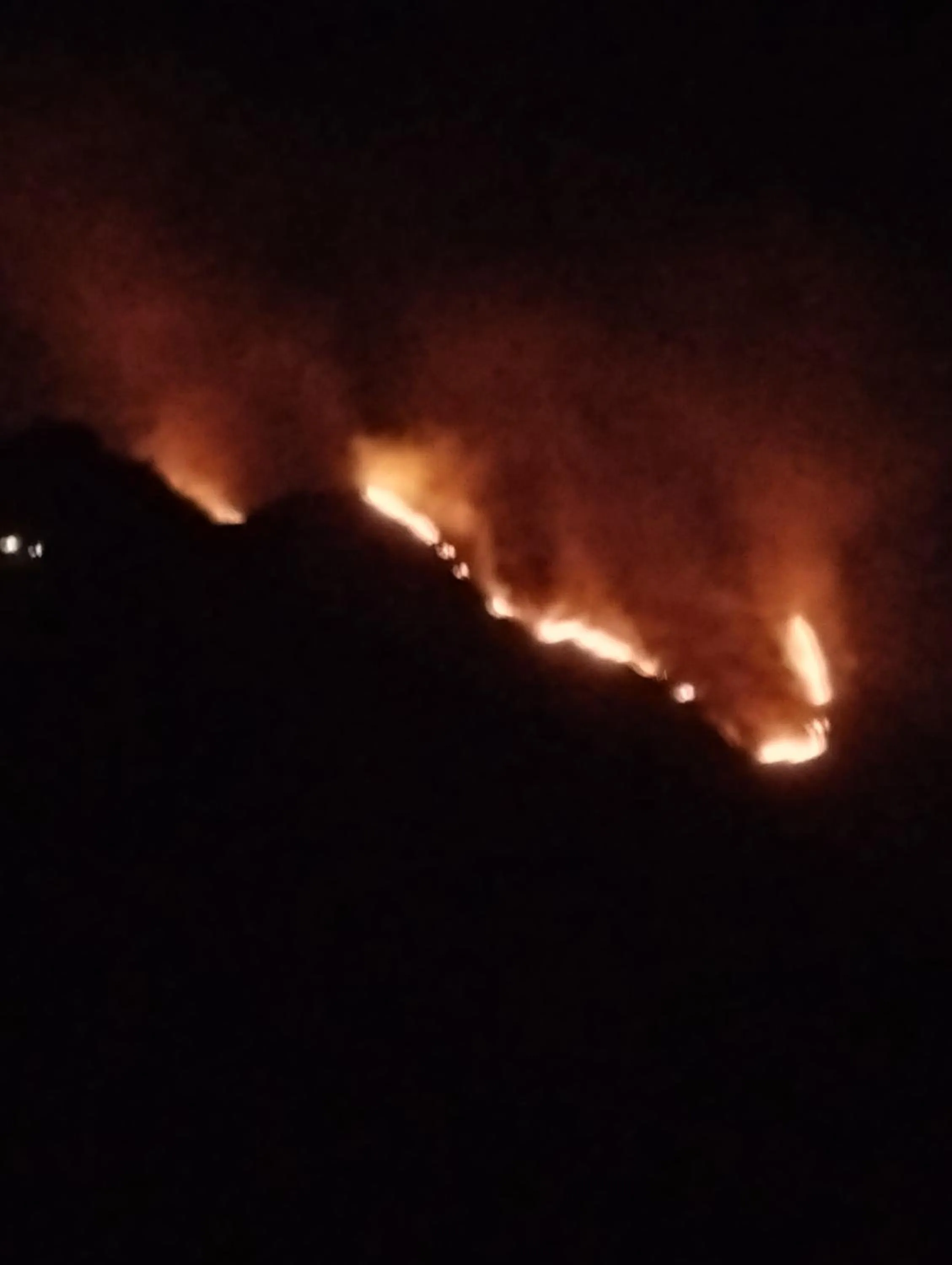 Ella Lucky Panoramic