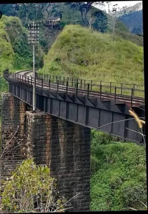 Ella Lucky Panoramic