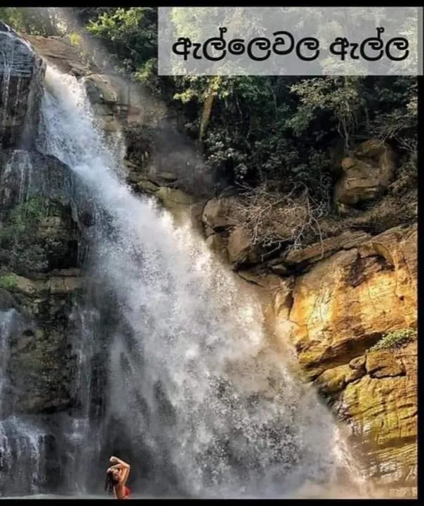 Ella Lucky Panoramic