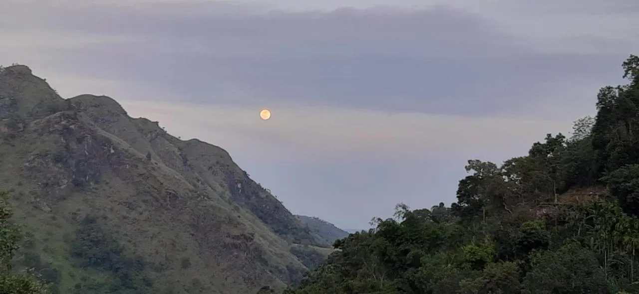 Ella Lucky Panoramic