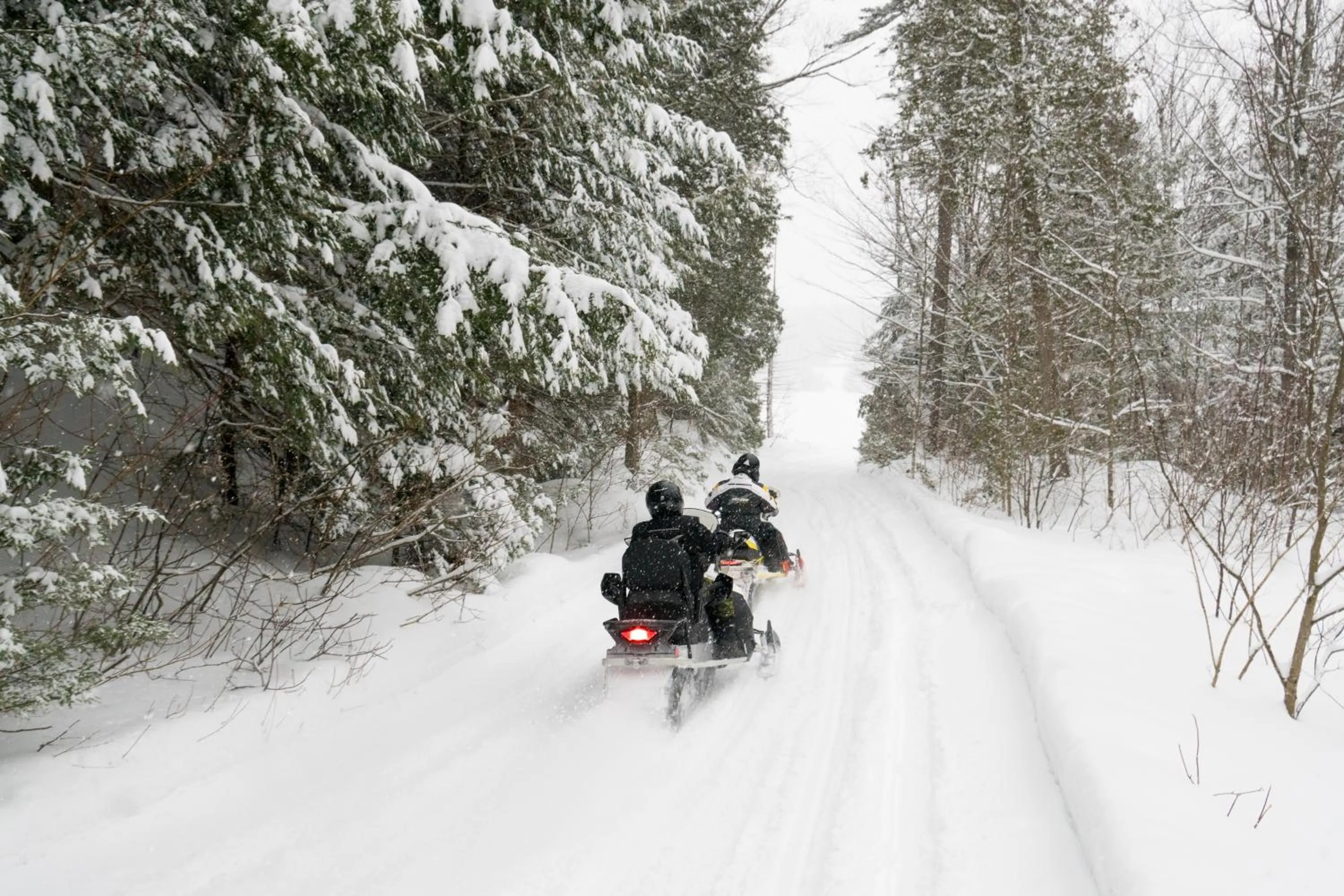 Activities in Pourvoirie du Lac Blanc
