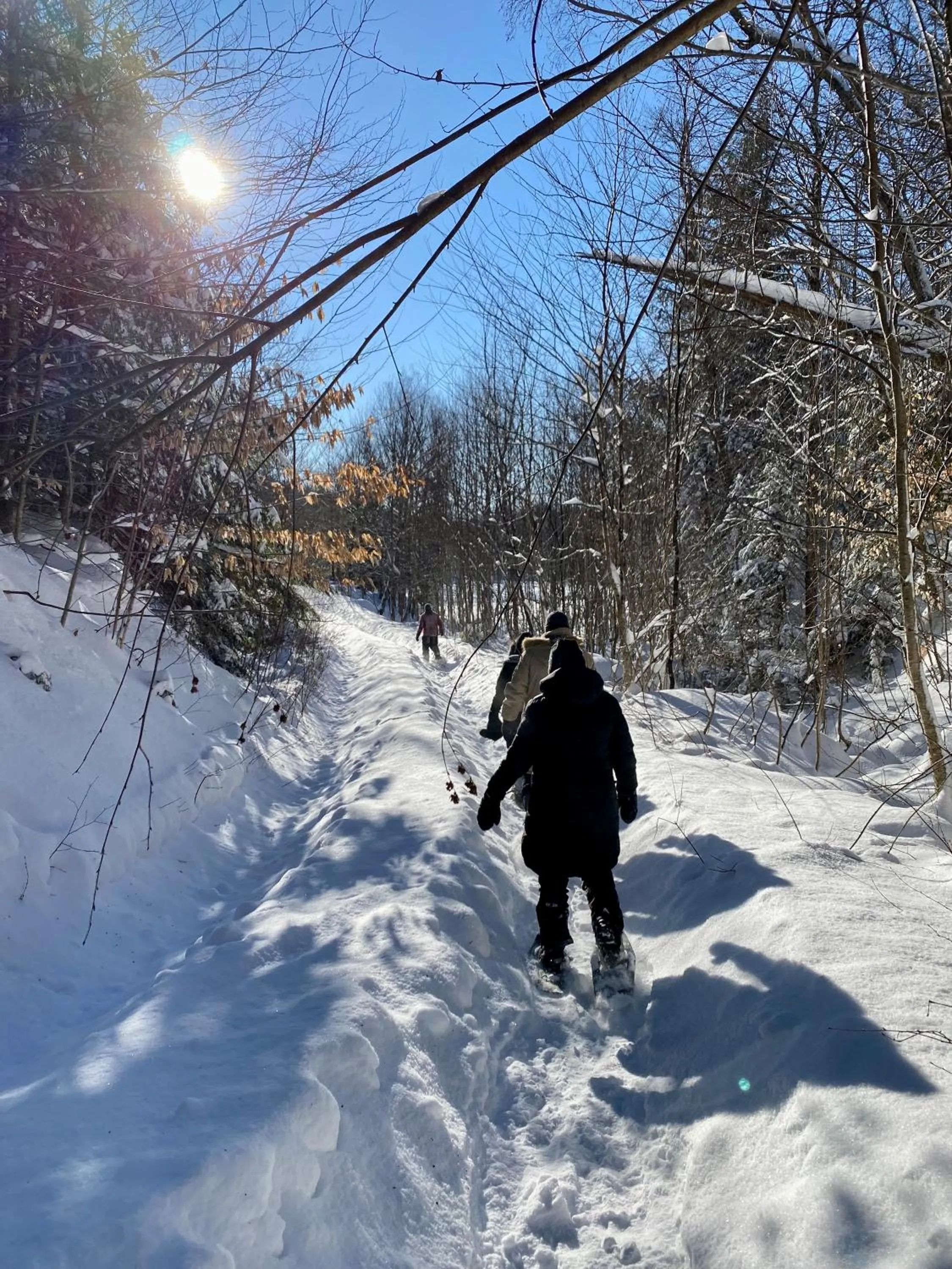 Activities in Pourvoirie du Lac Blanc