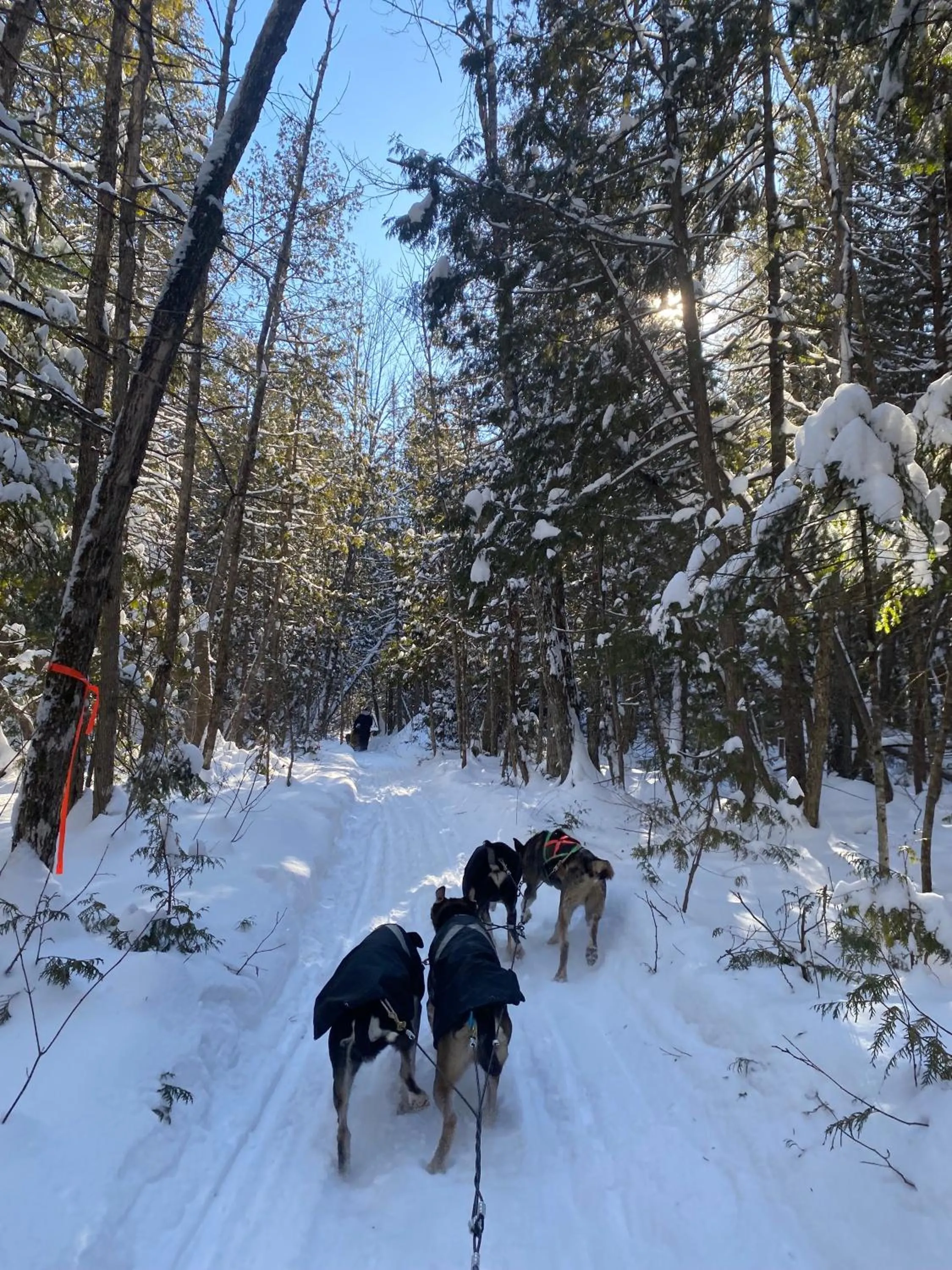 Activities in Pourvoirie du Lac Blanc