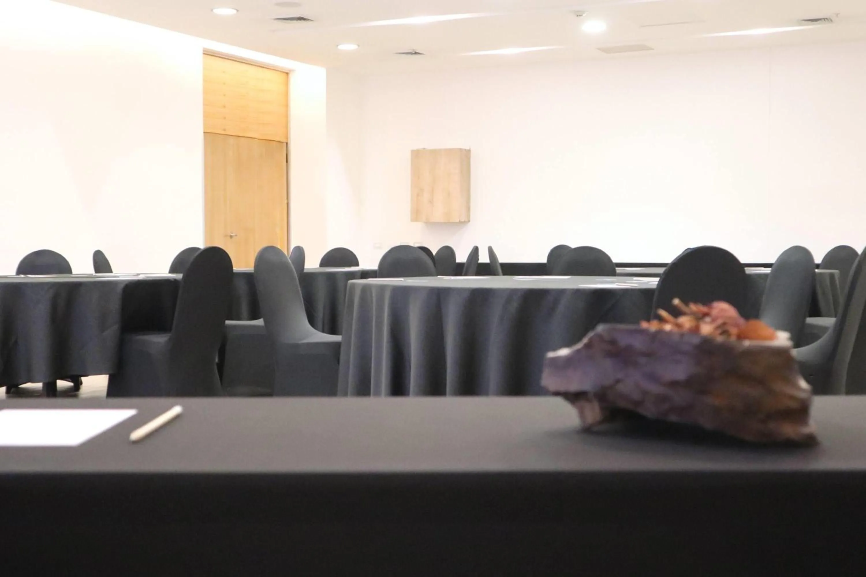 Meeting/conference room in Wyndham Concepcion Pettra