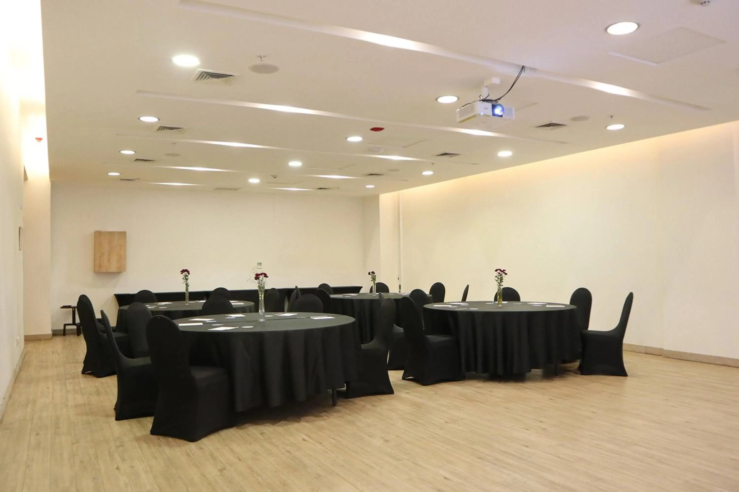 Meeting/conference room in Wyndham Concepcion Pettra
