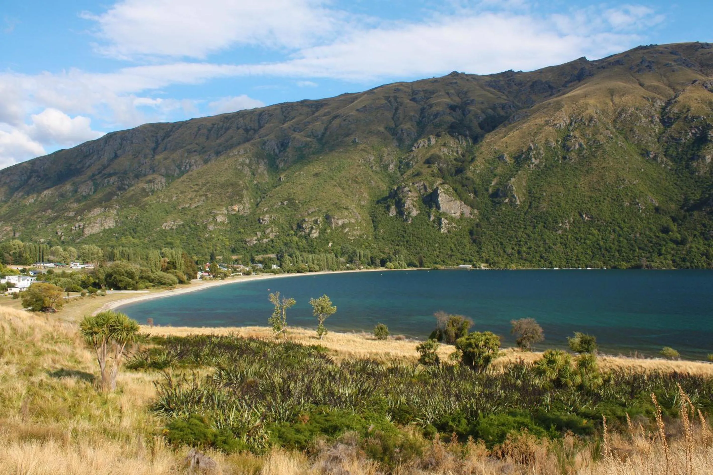 Natural landscape in Kingston TOP 10 Holiday Park