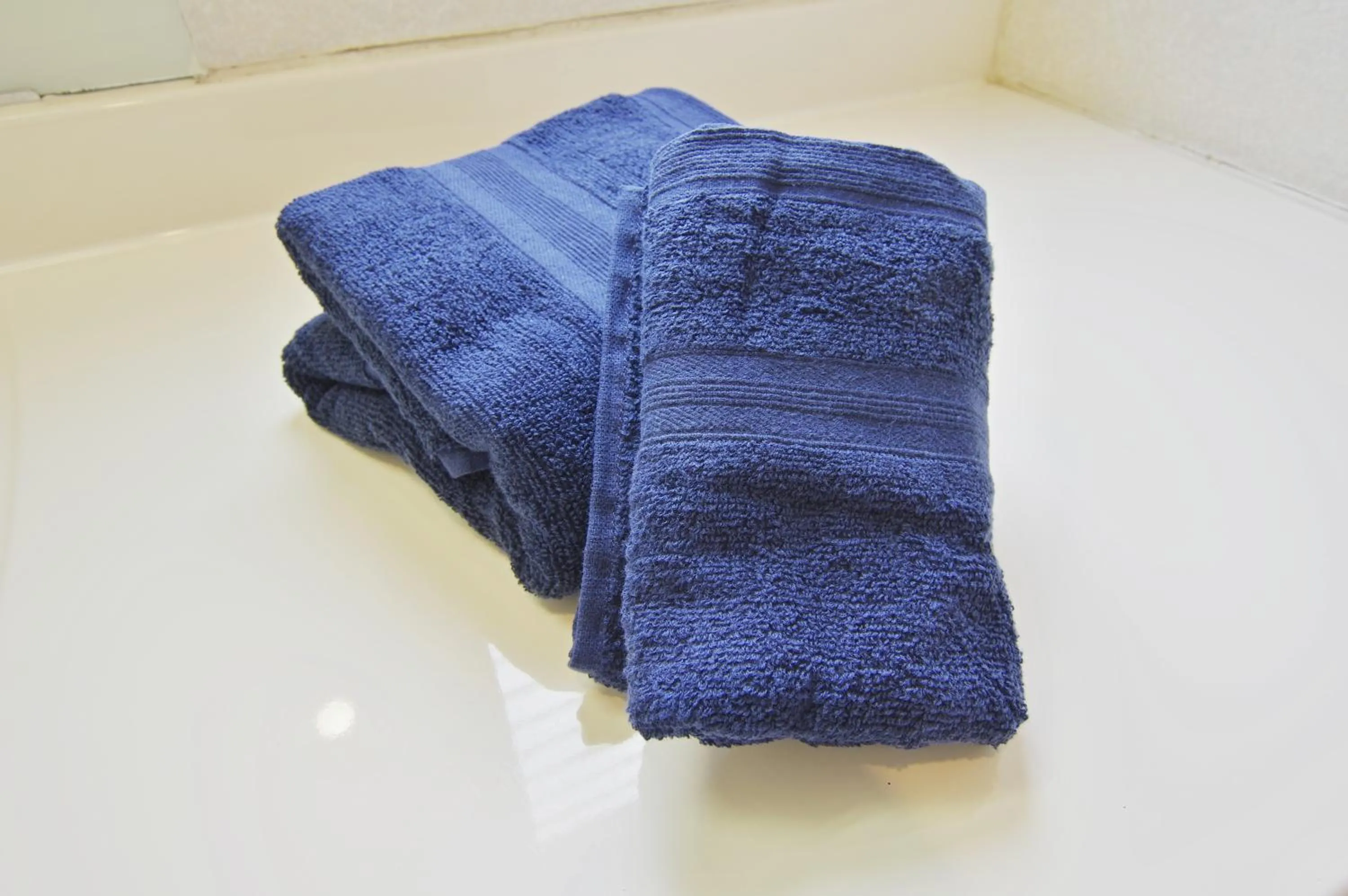 Villent Fujimi Hiekawa