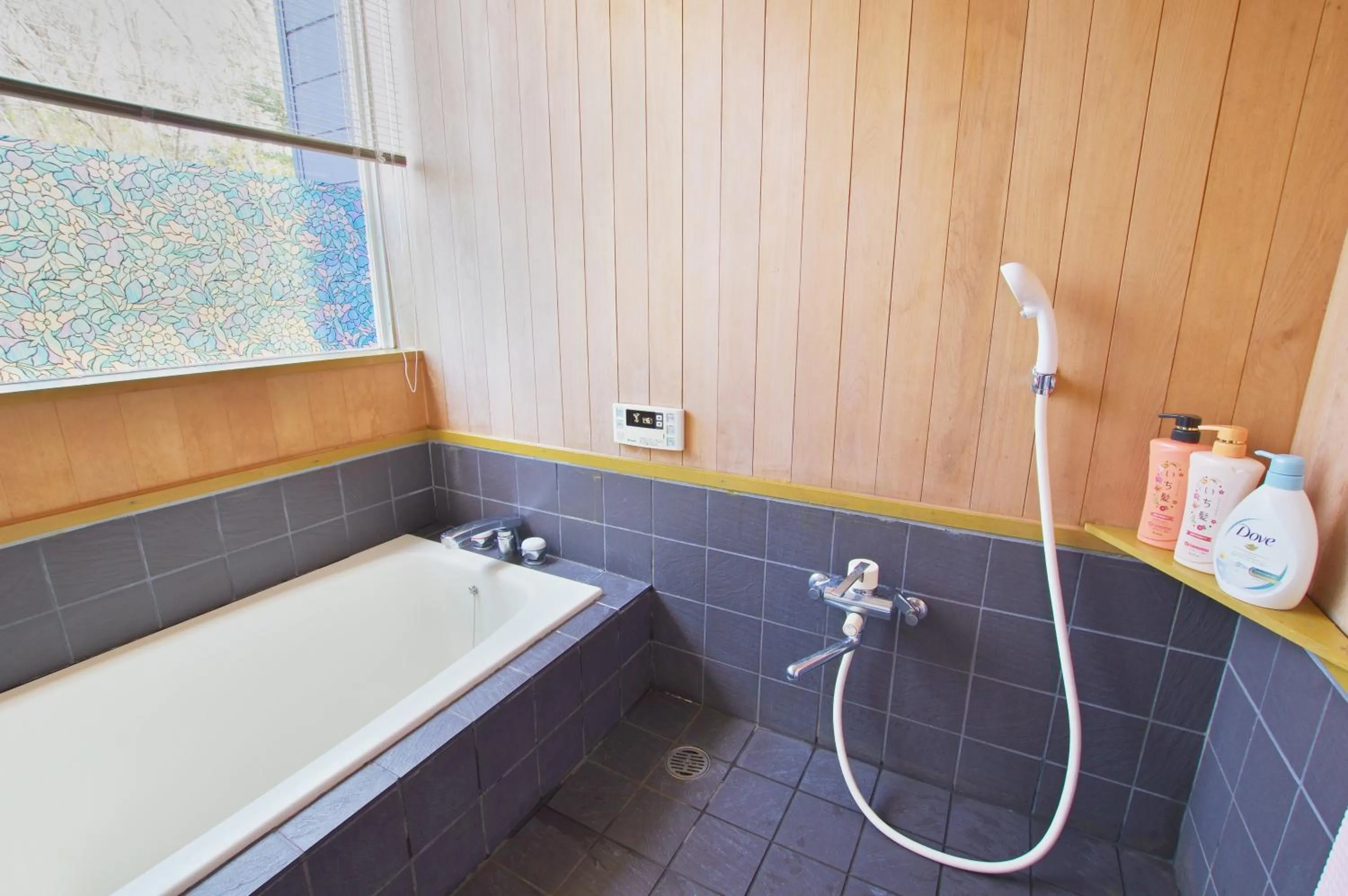 Villent Fujimi Hiekawa