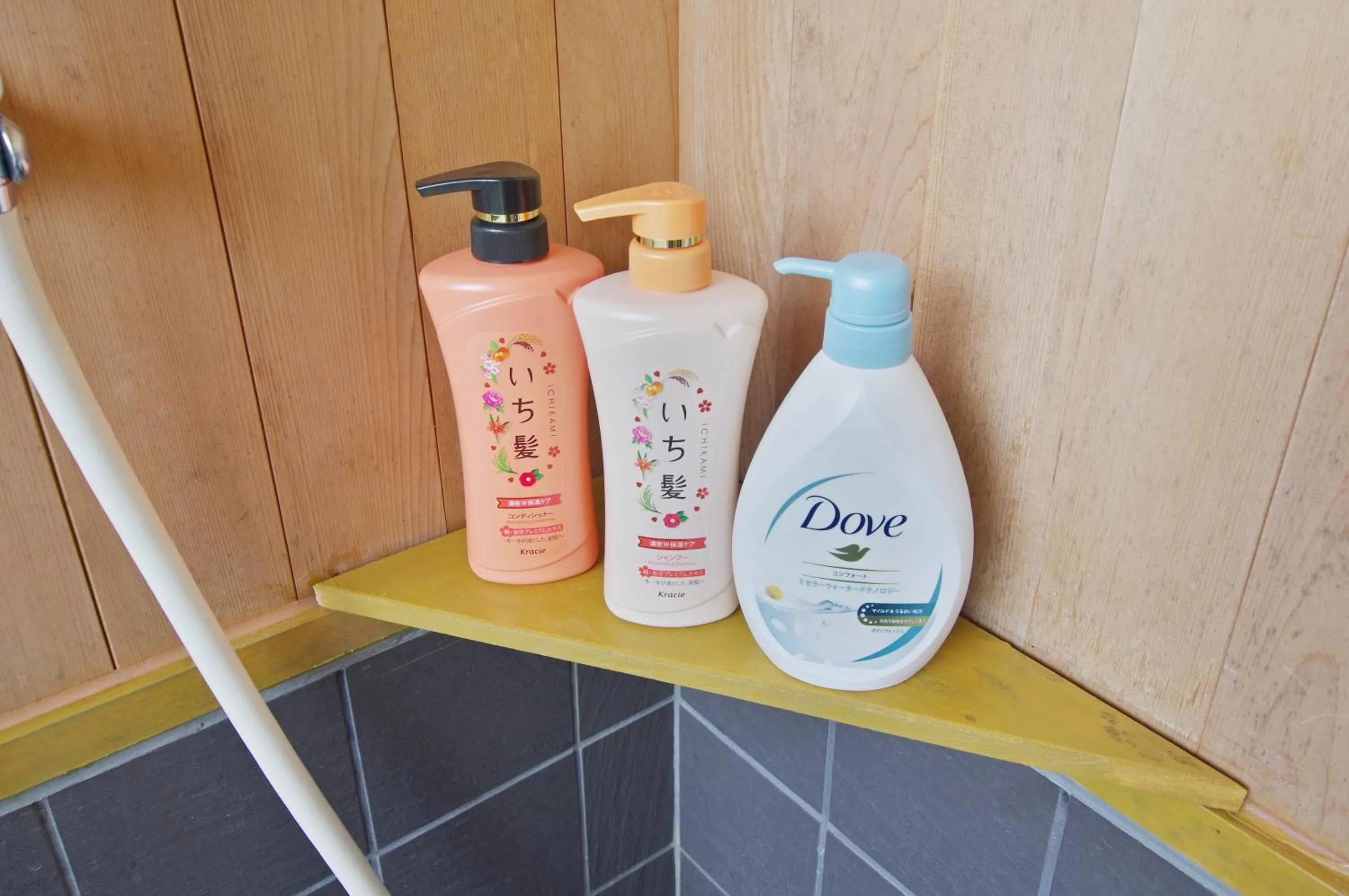 Villent Fujimi Hiekawa