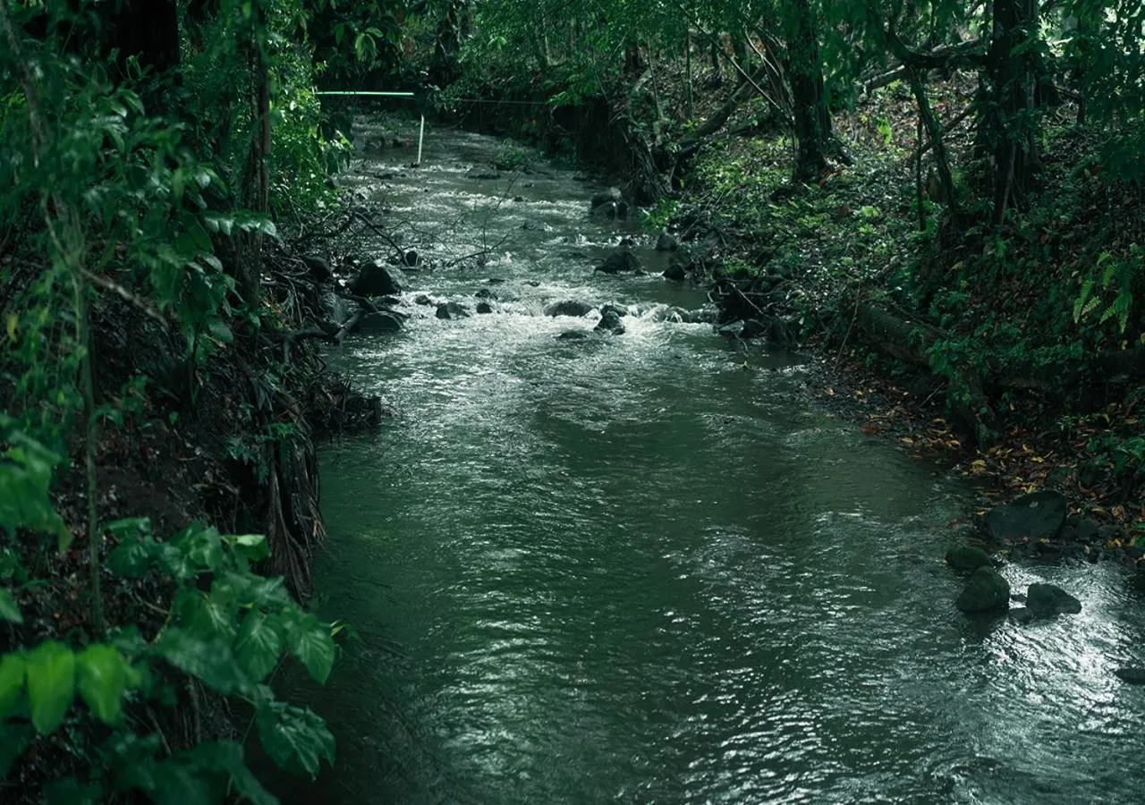 Spring in Hotel Eco Arenal