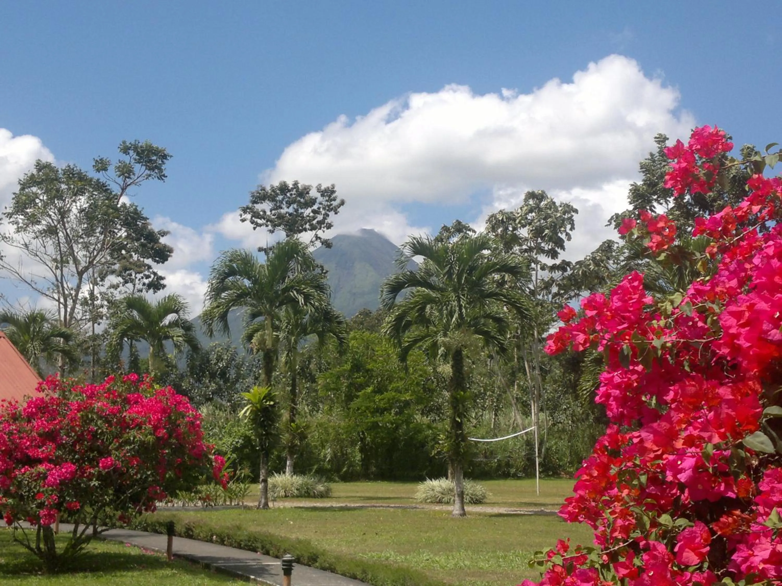 Activities in Hotel Eco Arenal